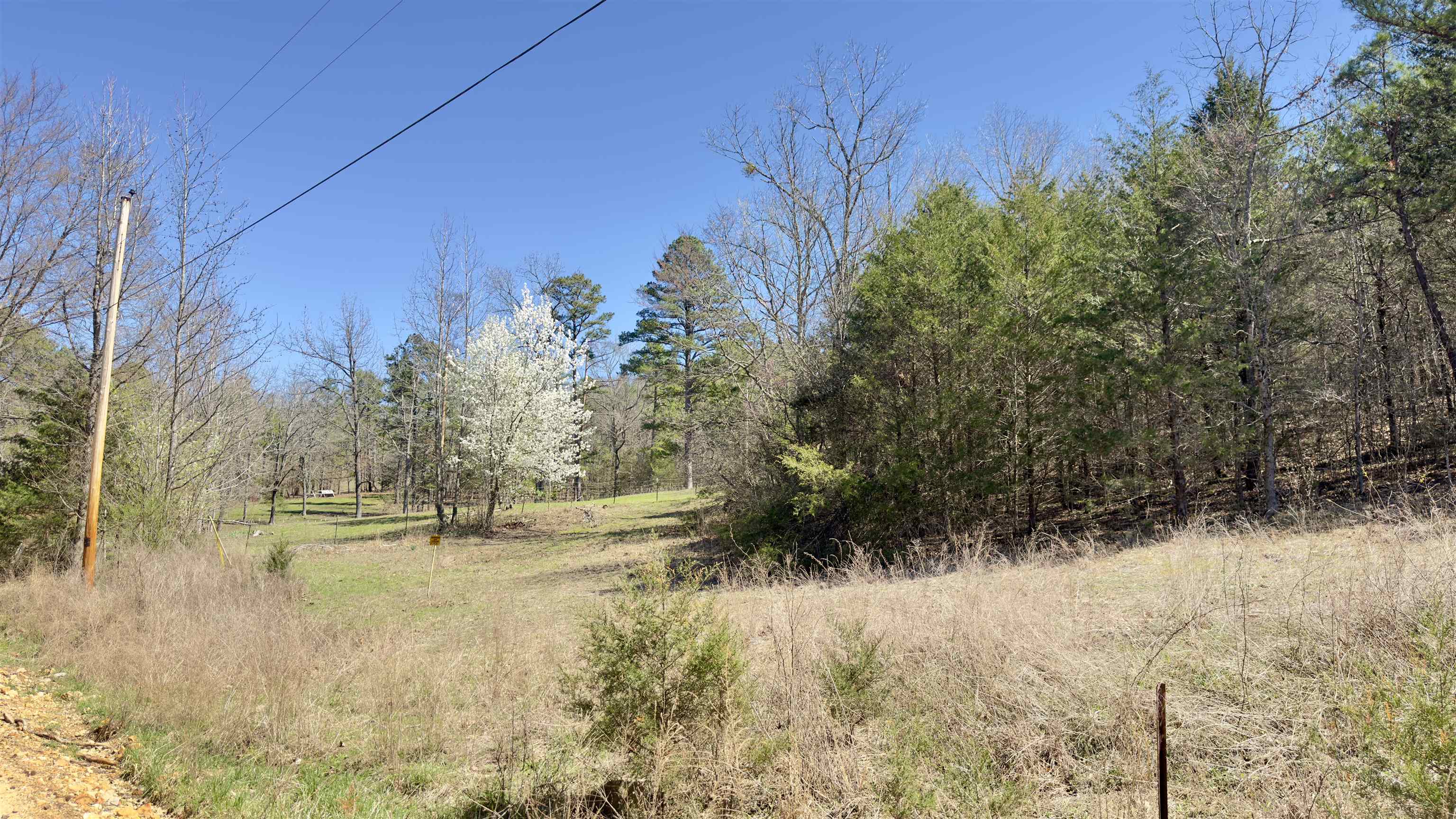 Photo 6 - Vacant Land for sale – 22  Red Lamb   Melbourne, AR