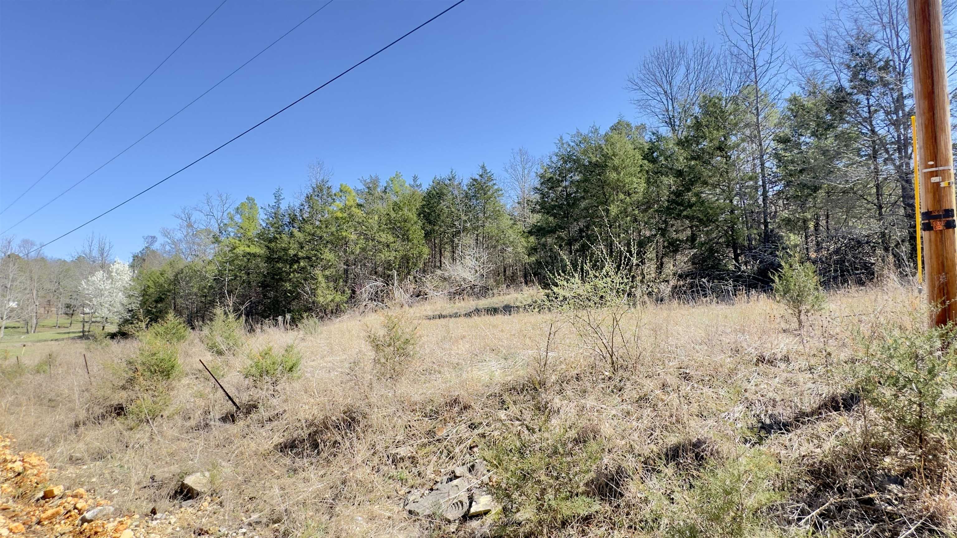 Photo 8 - Vacant Land for sale – 22  Red Lamb   Melbourne, AR