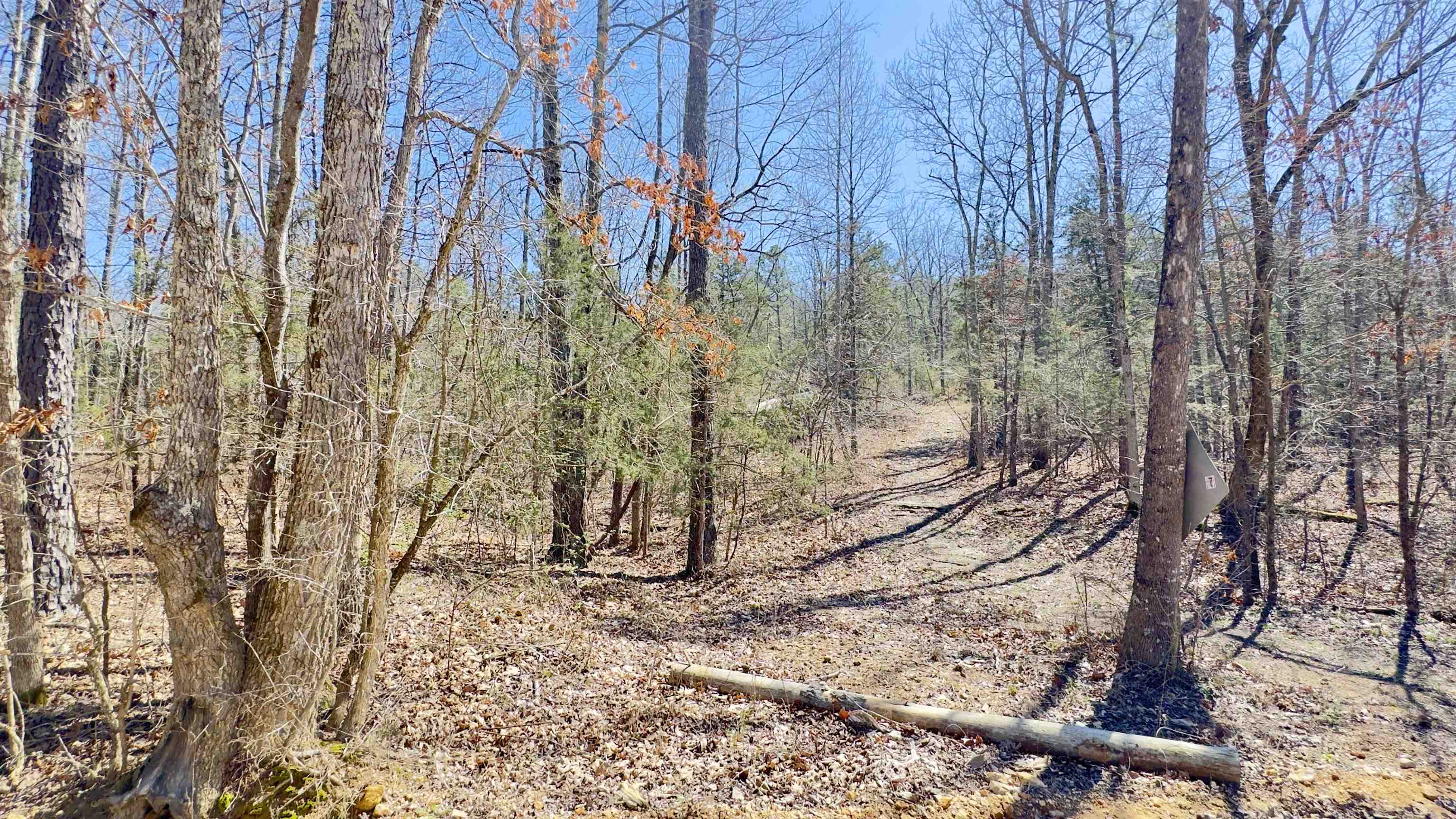 Photo 8 - Vacant Land for sale – 22  Red Lamb   Melbourne, AR