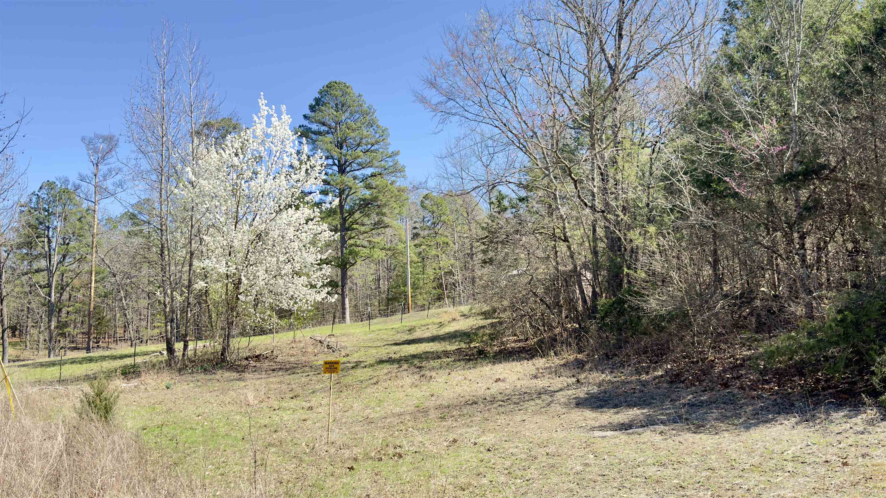 Photo 9 - Vacant Land for sale – 22  Red Lamb   Melbourne, AR