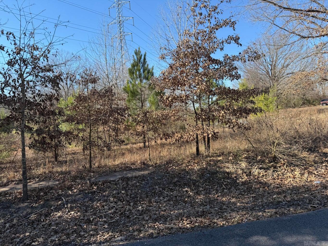 Vacant Land for sale – 0  Weston   Magness, AR