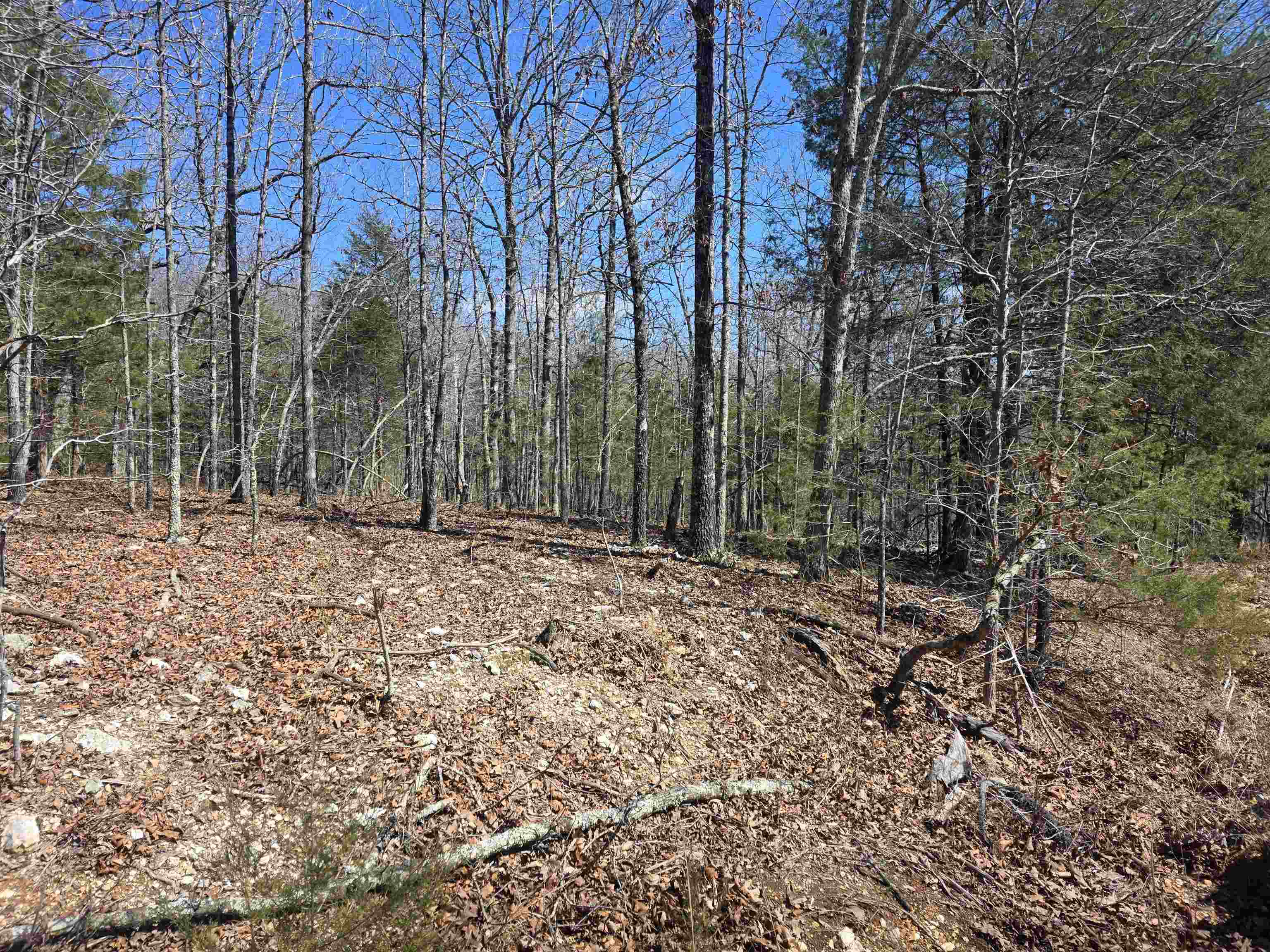 Photo 2 - Vacant Land for sale – L28 B3  Gheetowaga   Cherokee Village, AR