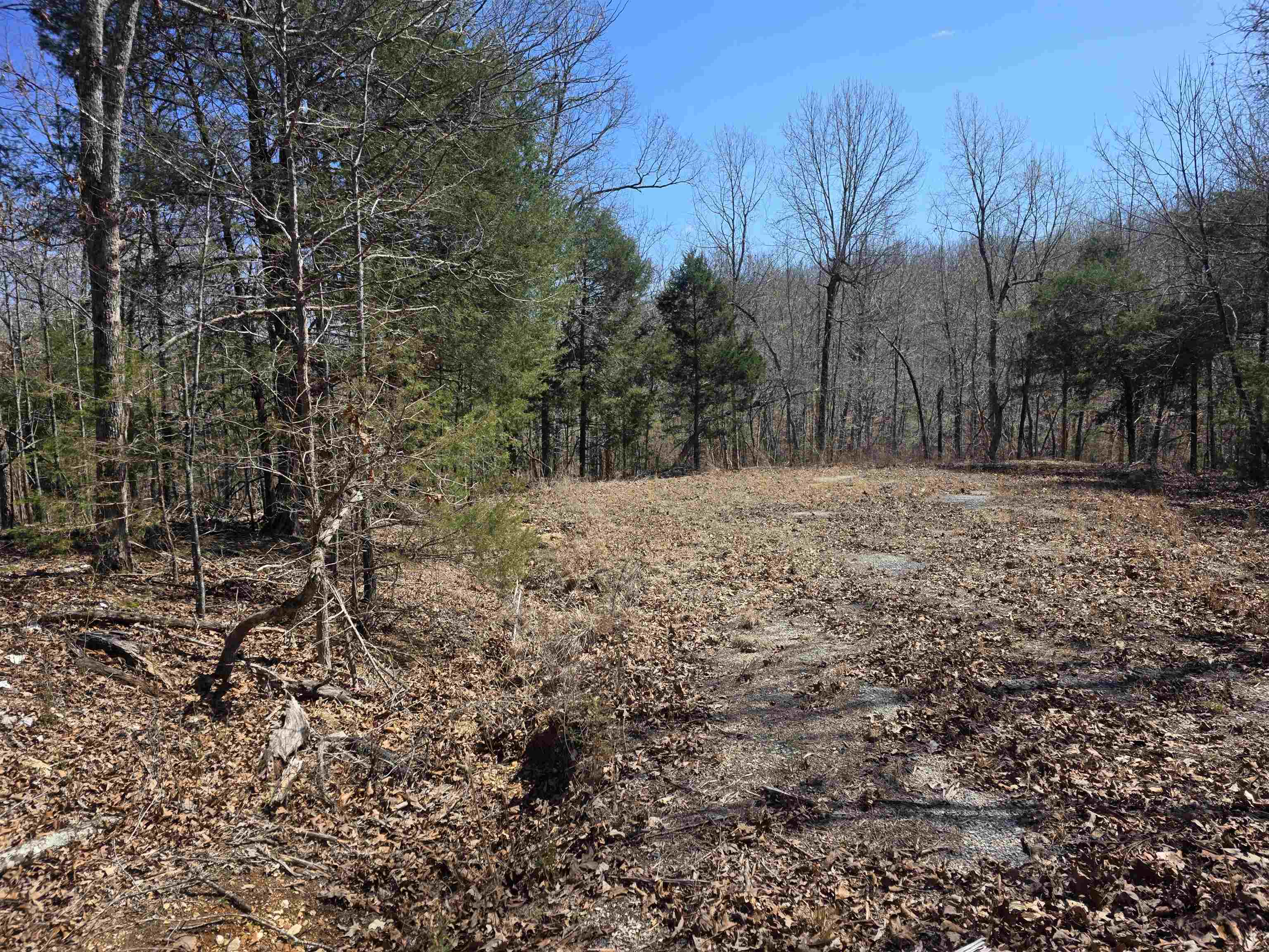 Photo 3 - Vacant Land for sale – L28 B3  Gheetowaga   Cherokee Village, AR