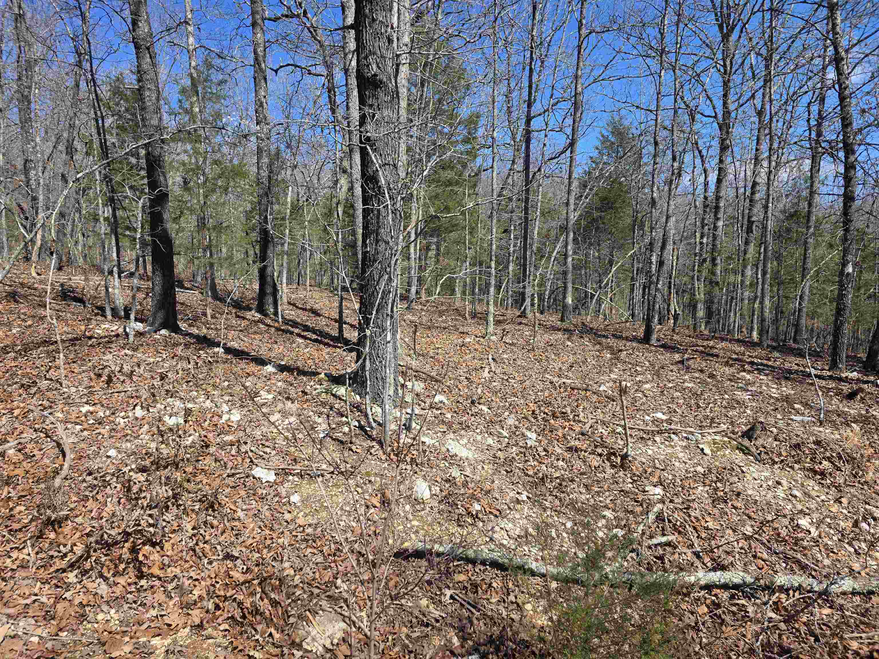 Photo 4 - Vacant Land for sale – L28 B3  Gheetowaga   Cherokee Village, AR