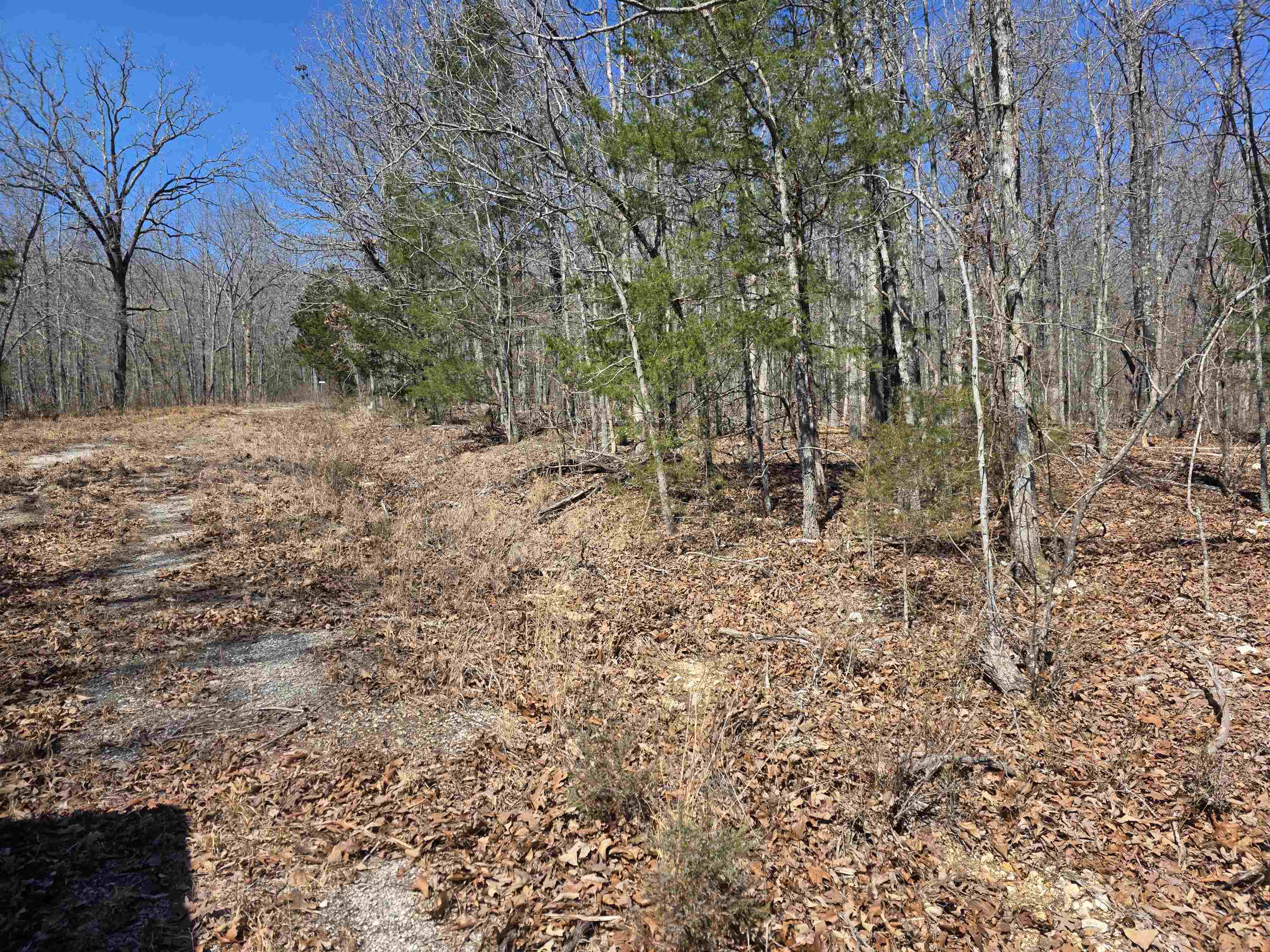 Photo 5 - Vacant Land for sale – L28 B3  Gheetowaga   Cherokee Village, AR