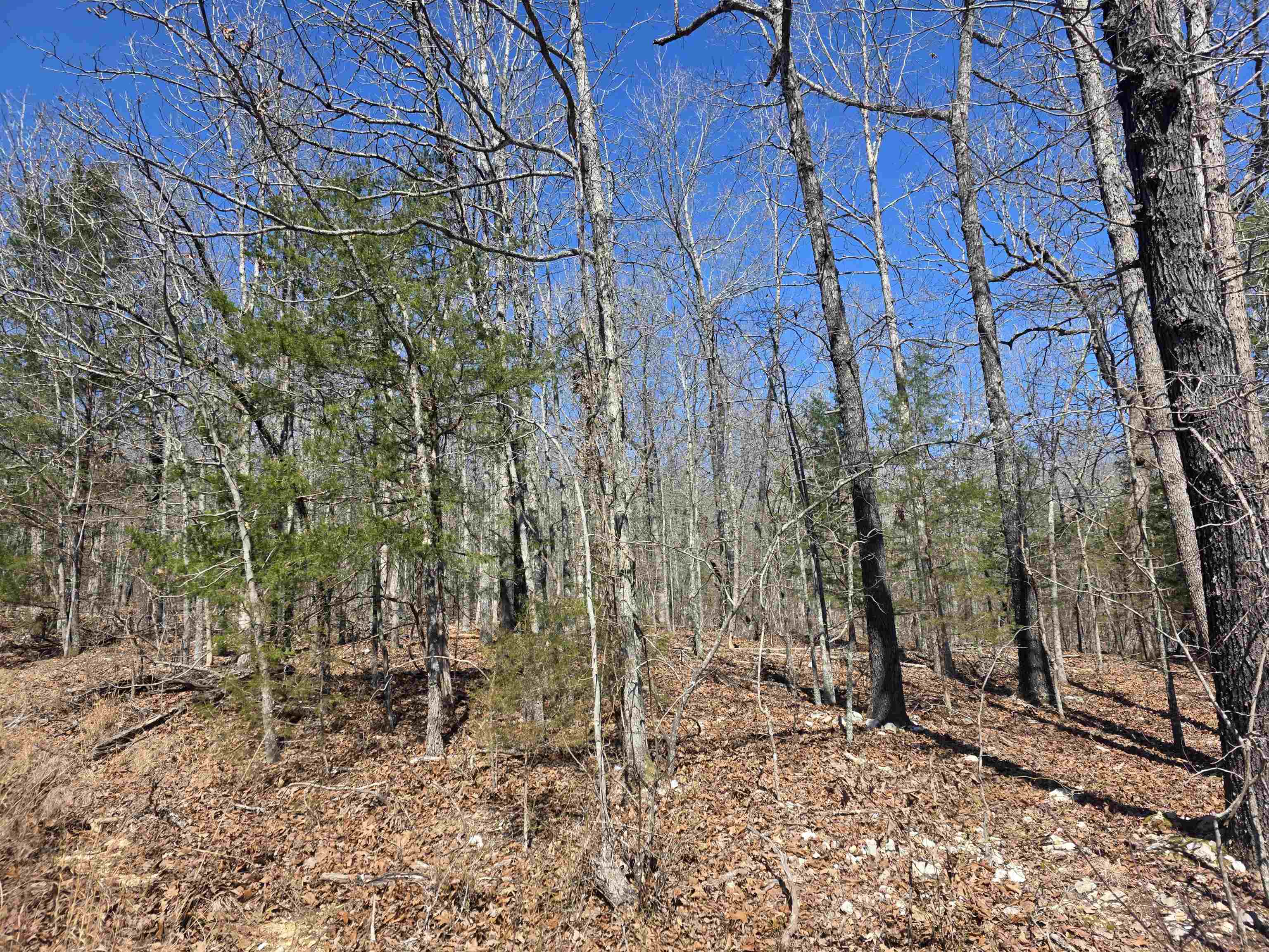 Photo 6 - Vacant Land for sale – L28 B3  Gheetowaga   Cherokee Village, AR