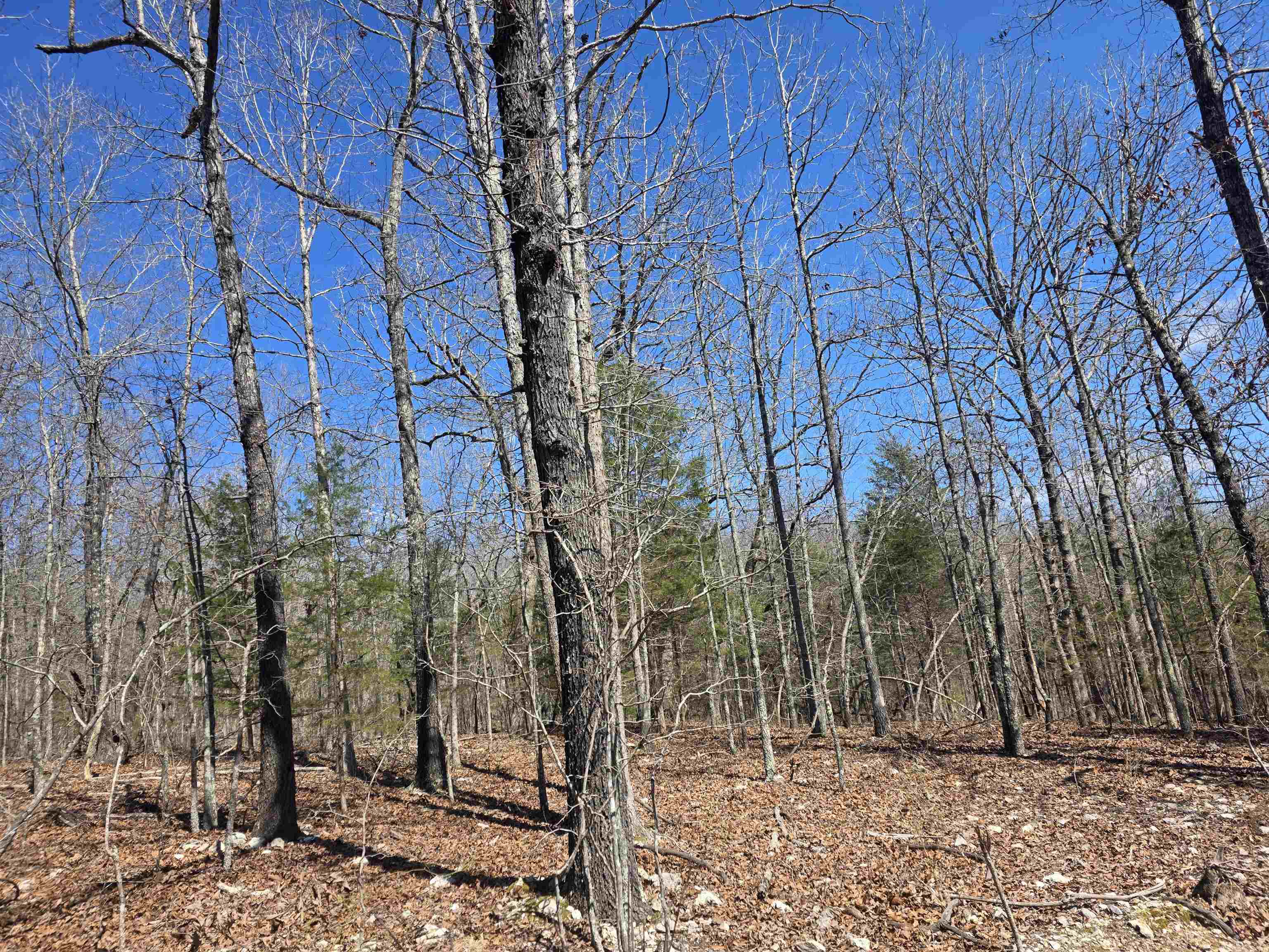 Photo 7 - Vacant Land for sale – L28 B3  Gheetowaga   Cherokee Village, AR