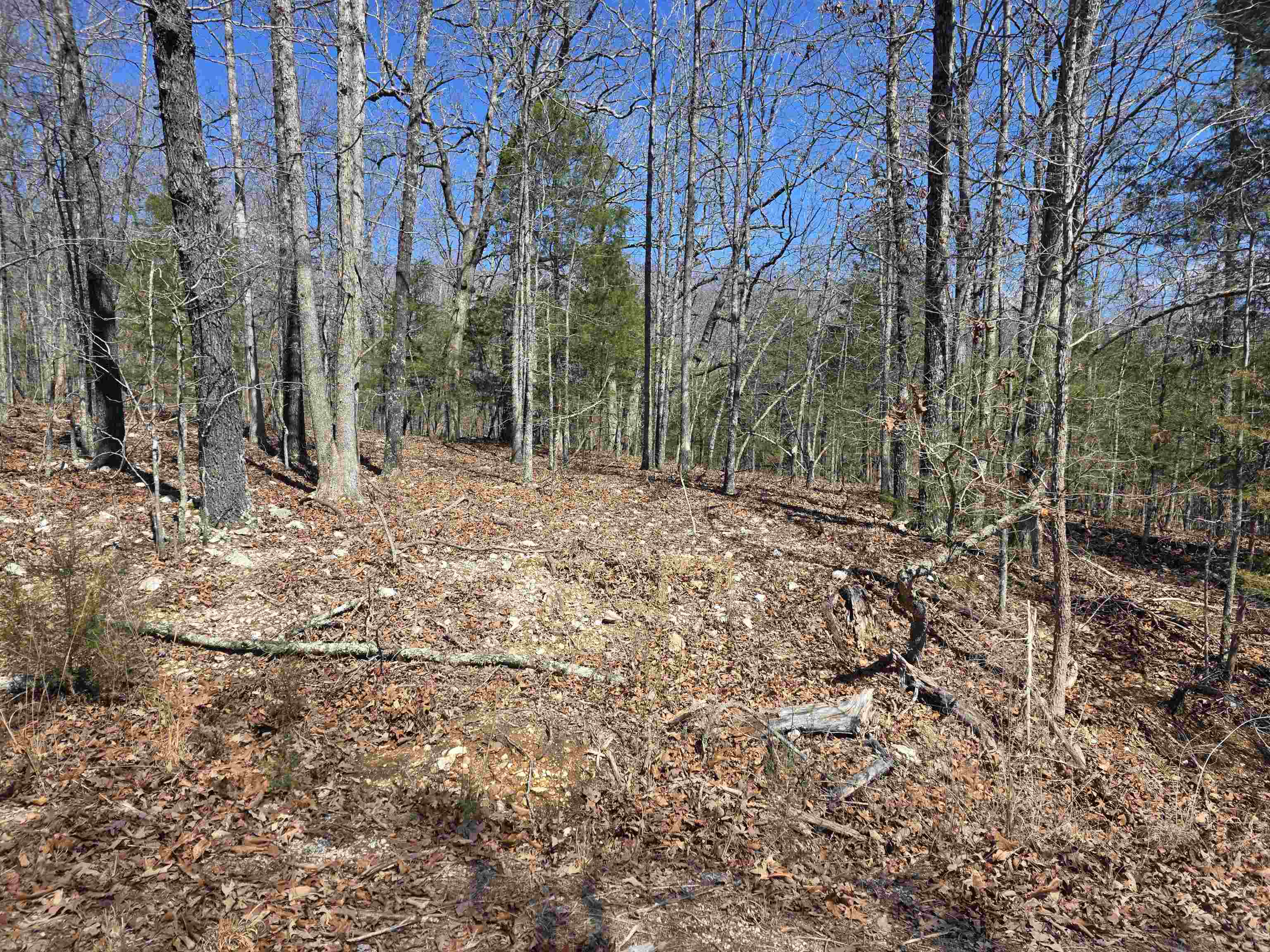 Photo 8 - Vacant Land for sale – L28 B3  Gheetowaga   Cherokee Village, AR