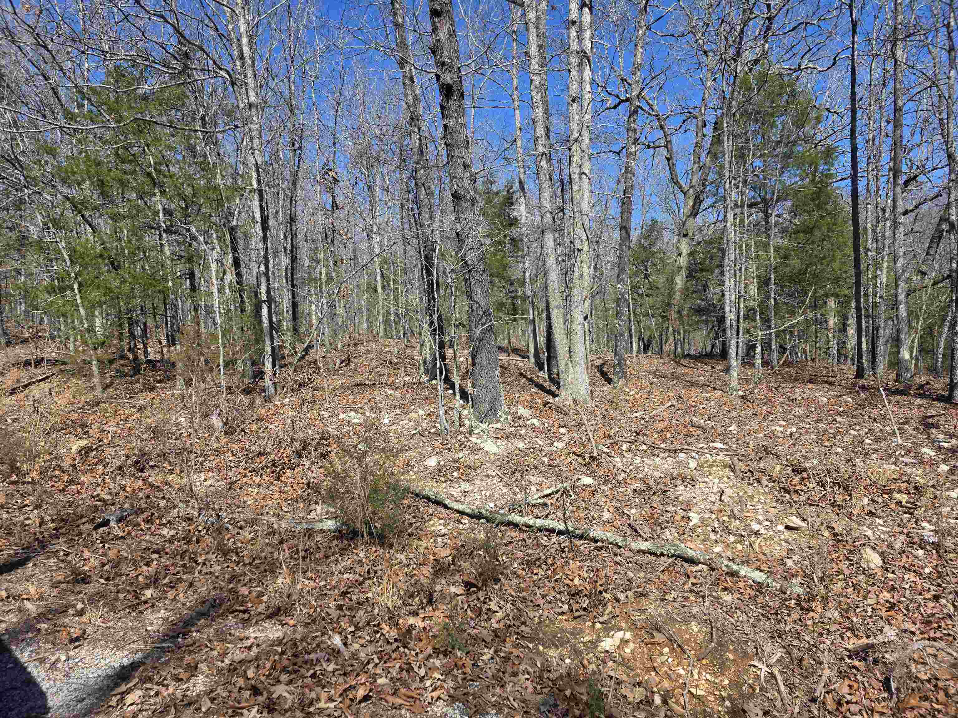 Photo 9 - Vacant Land for sale – L28 B3  Gheetowaga   Cherokee Village, AR