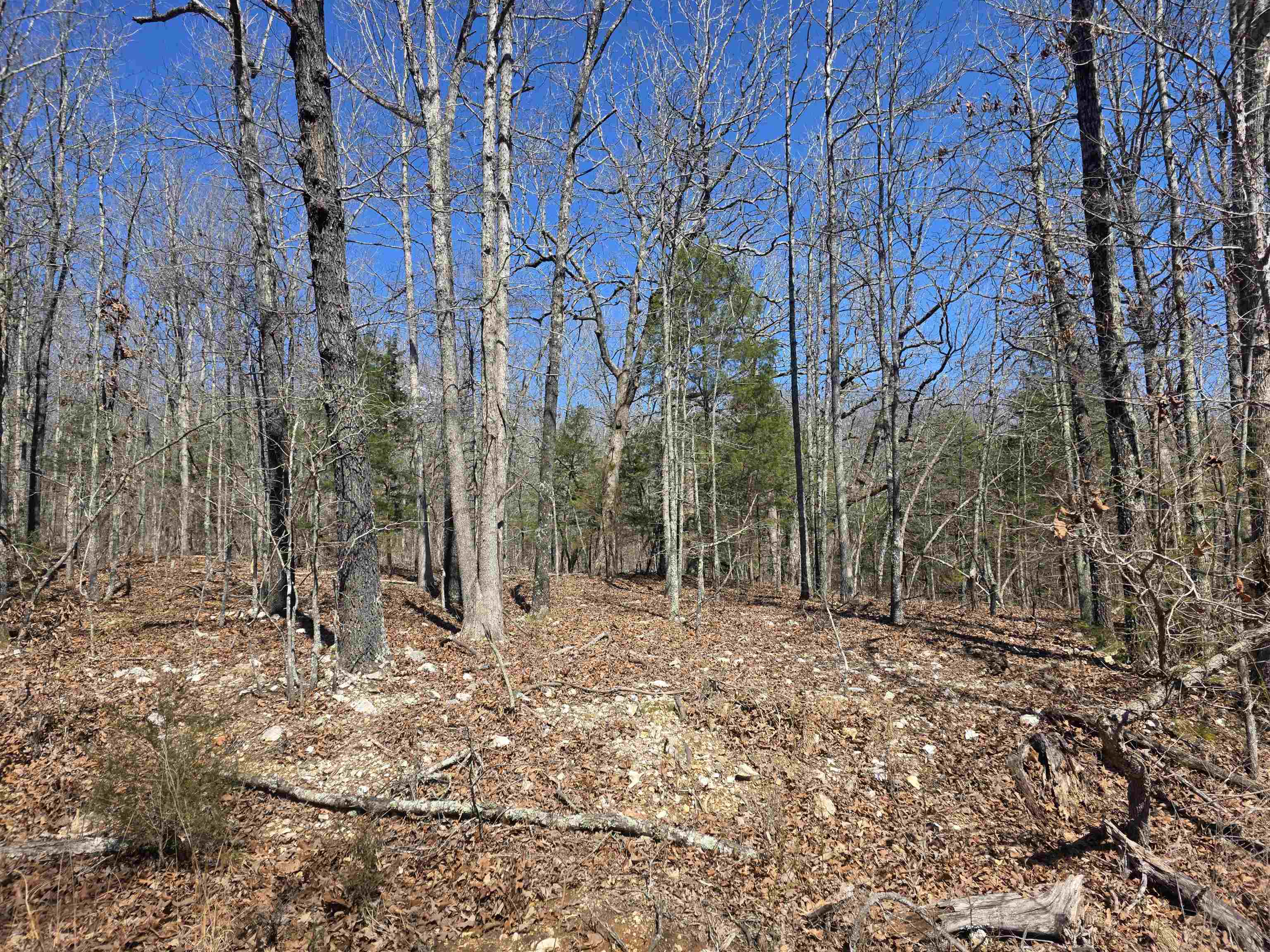 Photo 10 - Vacant Land for sale – L28 B3  Gheetowaga   Cherokee Village, AR