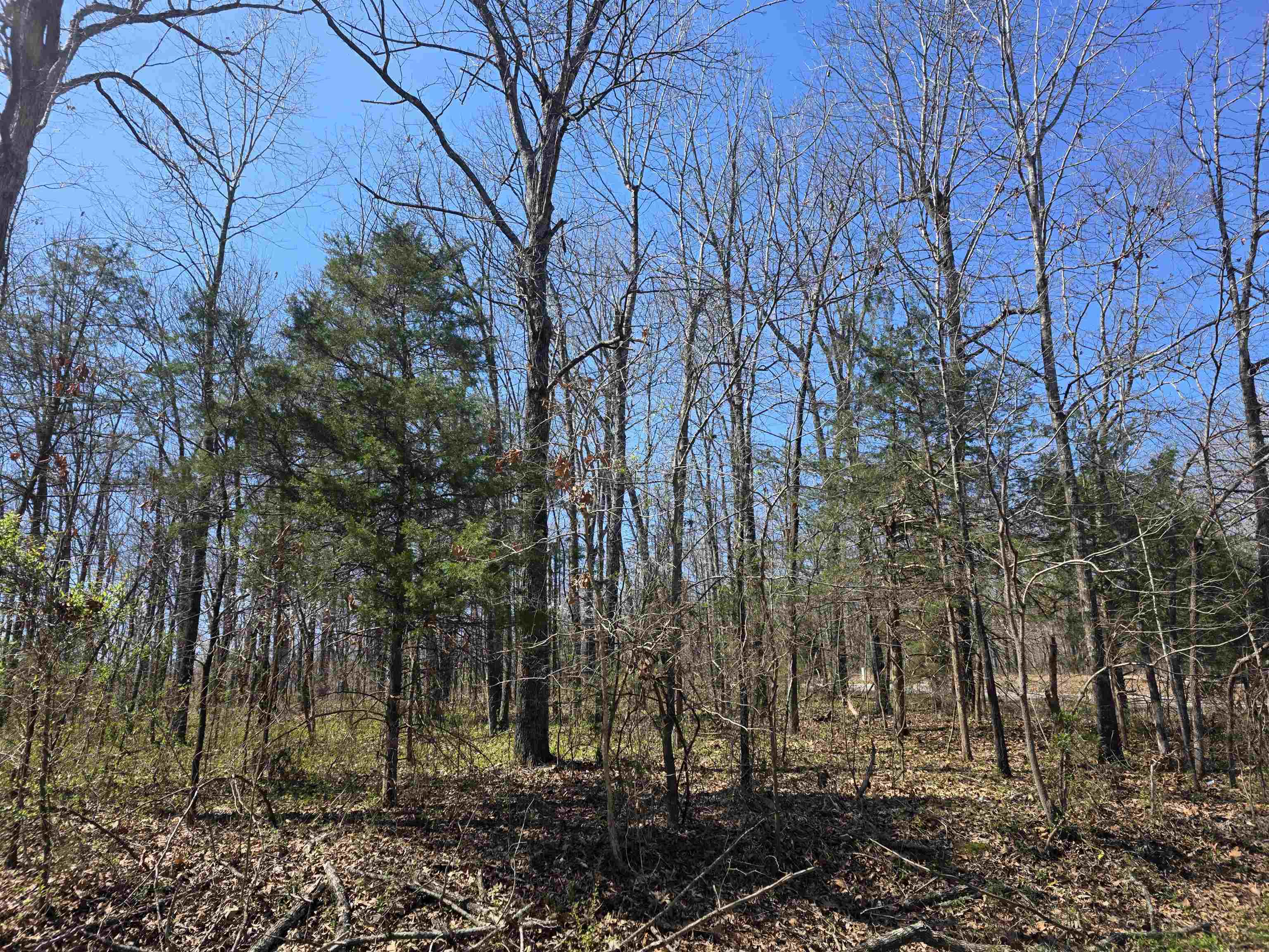 Vacant Land for sale – L23 B2  West Lake Addn   Ozark Acres, AR