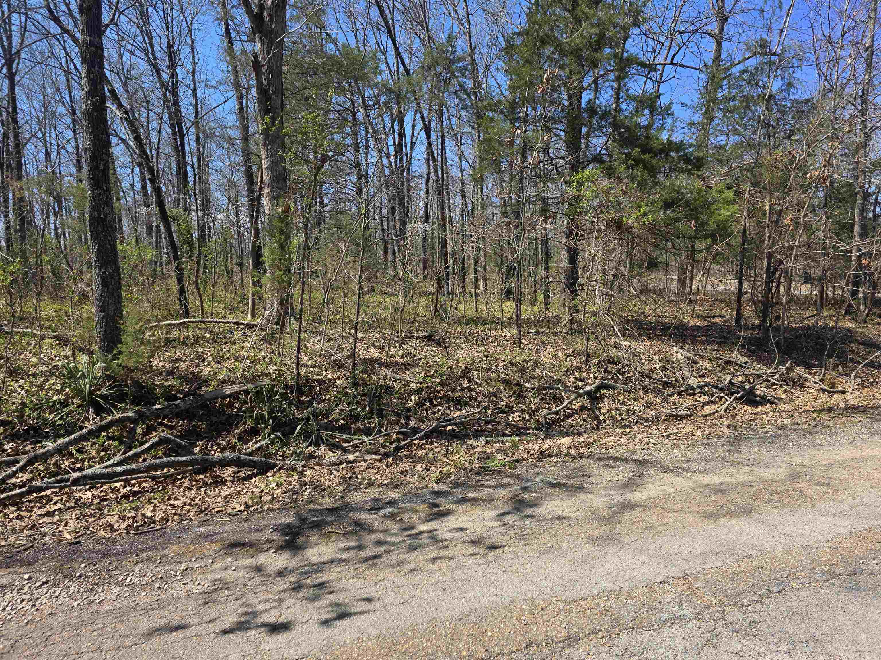 Photo 2 - Vacant Land for sale – L23 B2  West Lake Addn   Ozark Acres, AR