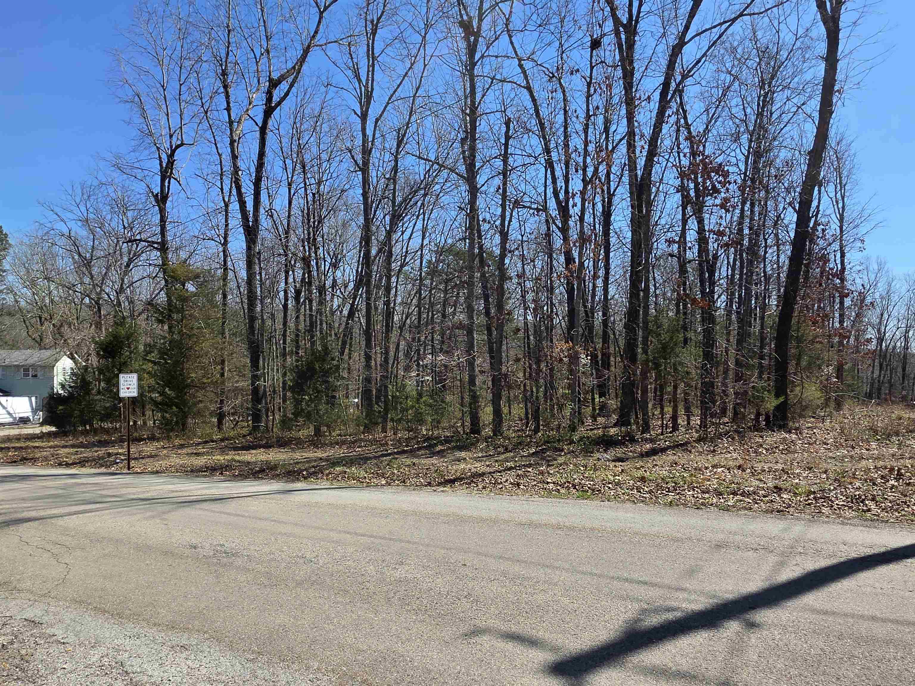 Photo 11 - Vacant Land for sale – L23 B2  West Lake Addn   Ozark Acres, AR