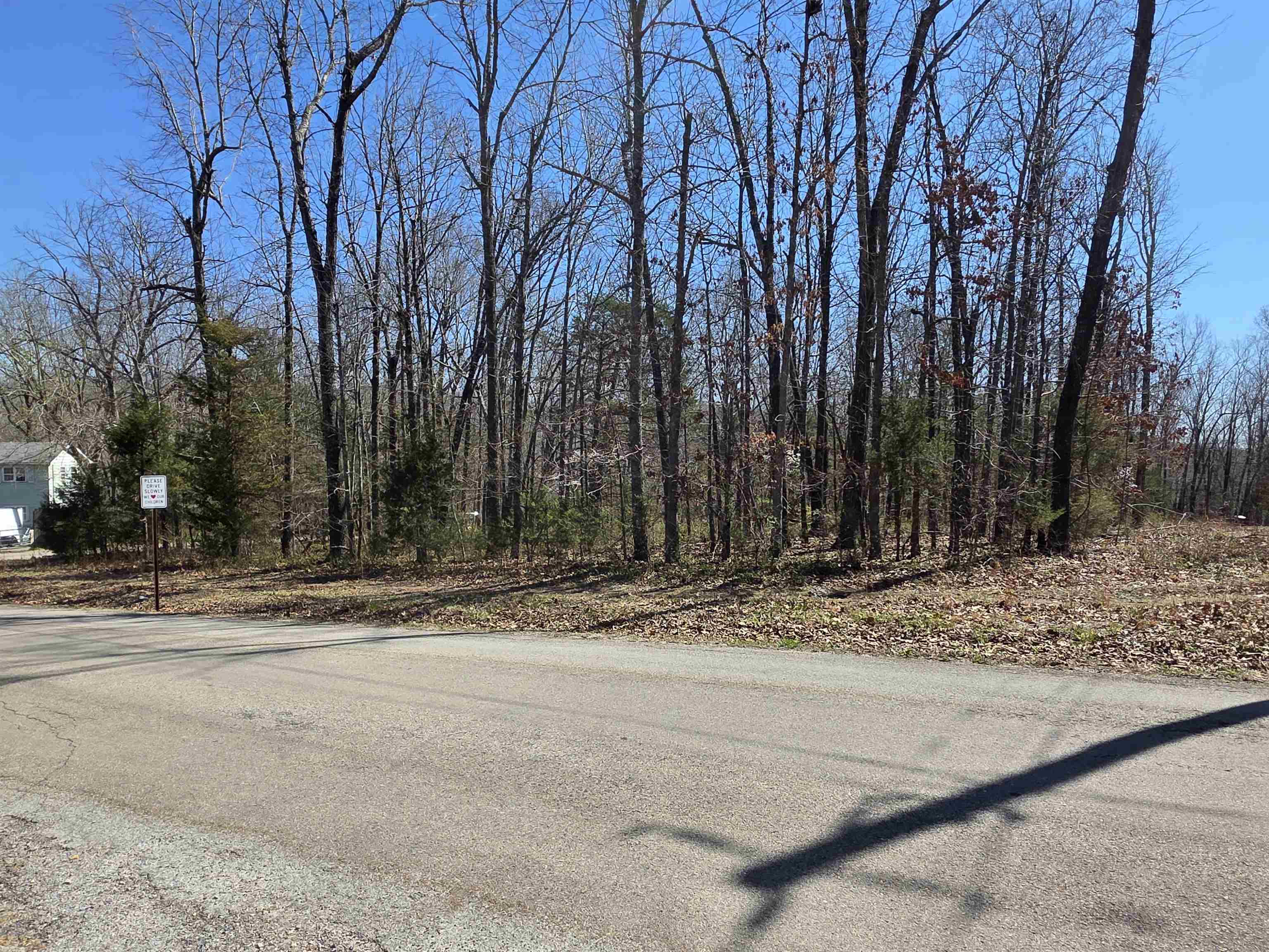 Photo 12 - Vacant Land for sale – L23 B2  West Lake Addn   Ozark Acres, AR