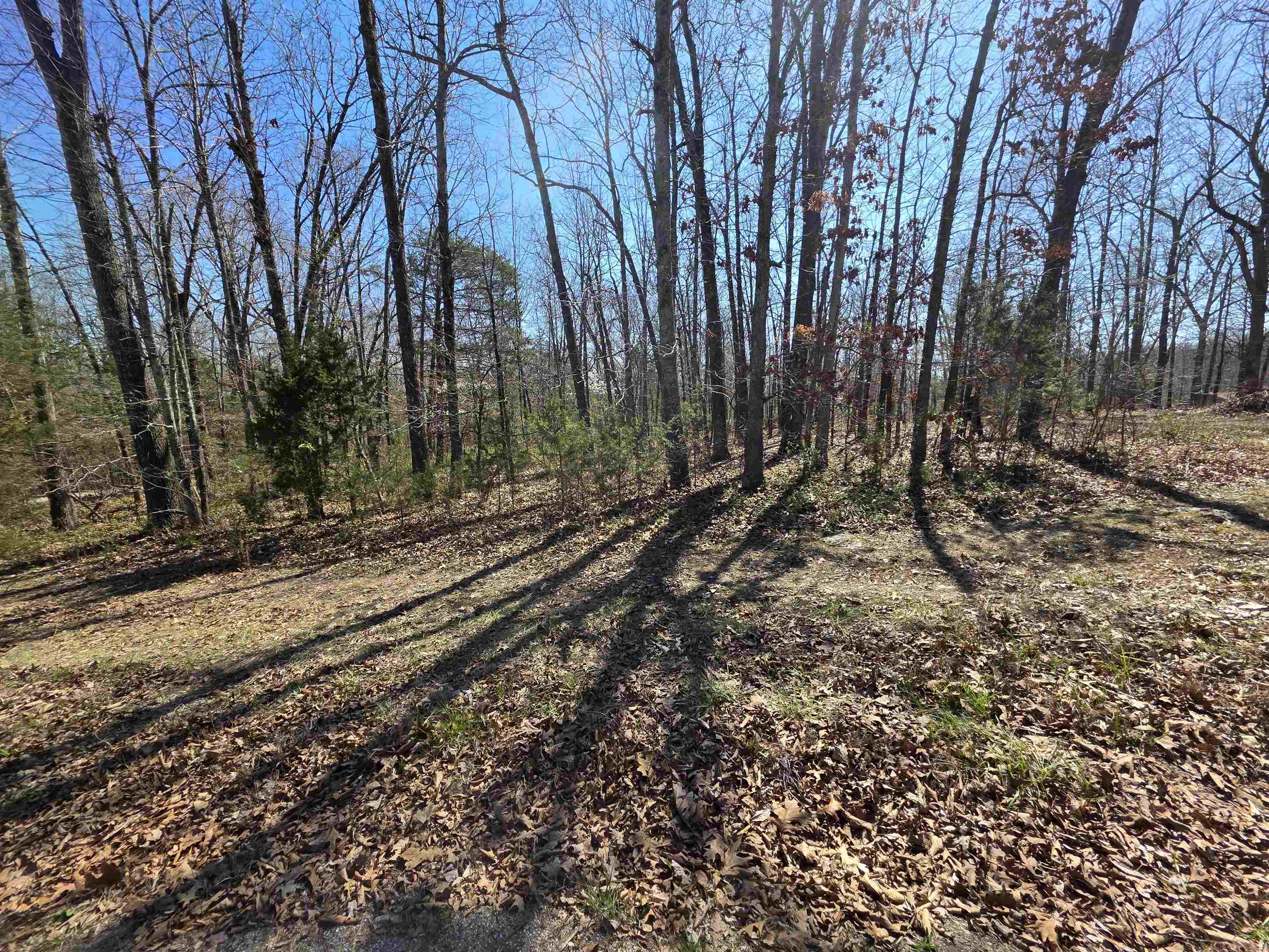 Photo 14 - Vacant Land for sale – L23 B2  West Lake Addn   Ozark Acres, AR