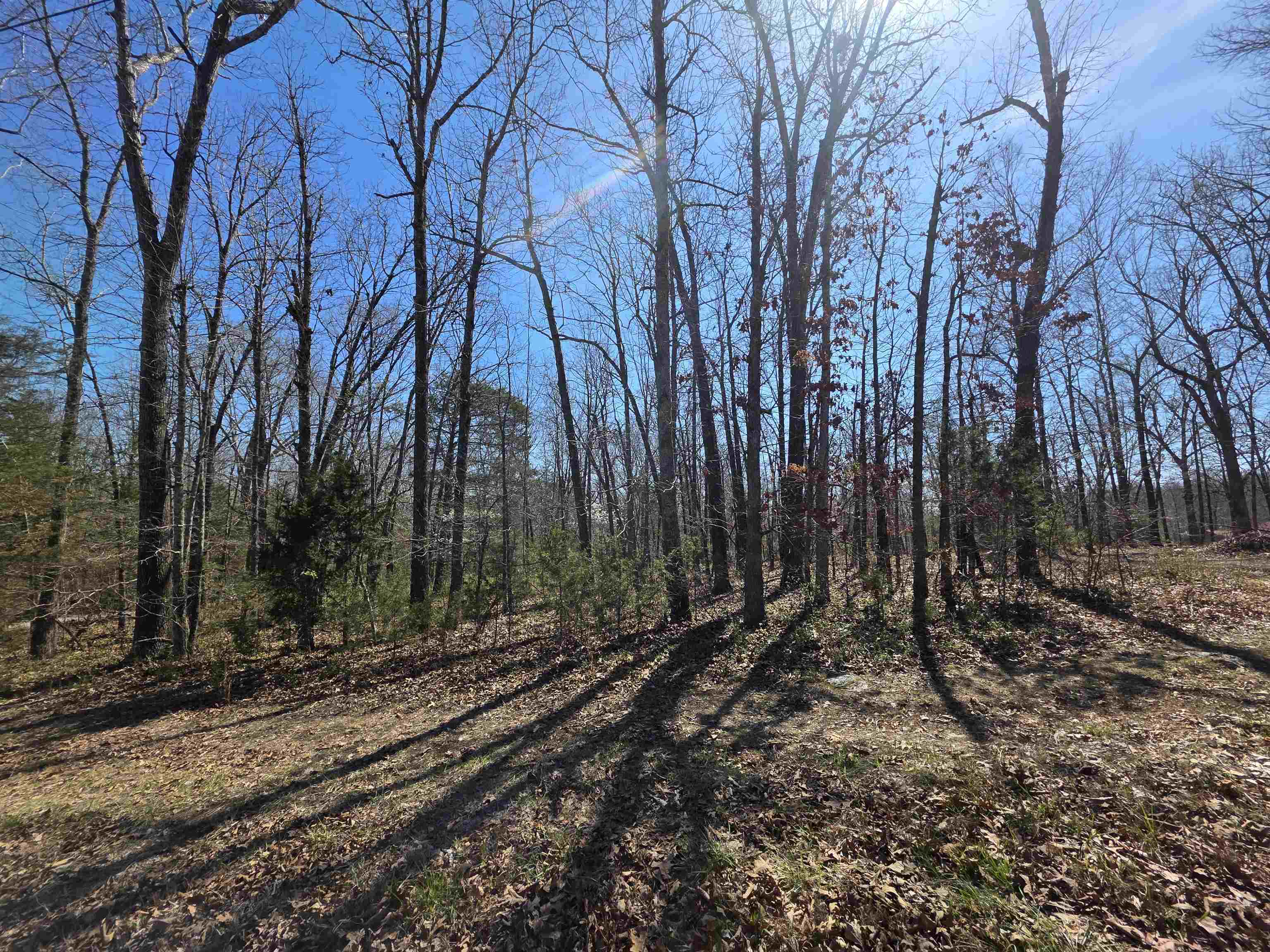 Photo 15 - Vacant Land for sale – L23 B2  West Lake Addn   Ozark Acres, AR