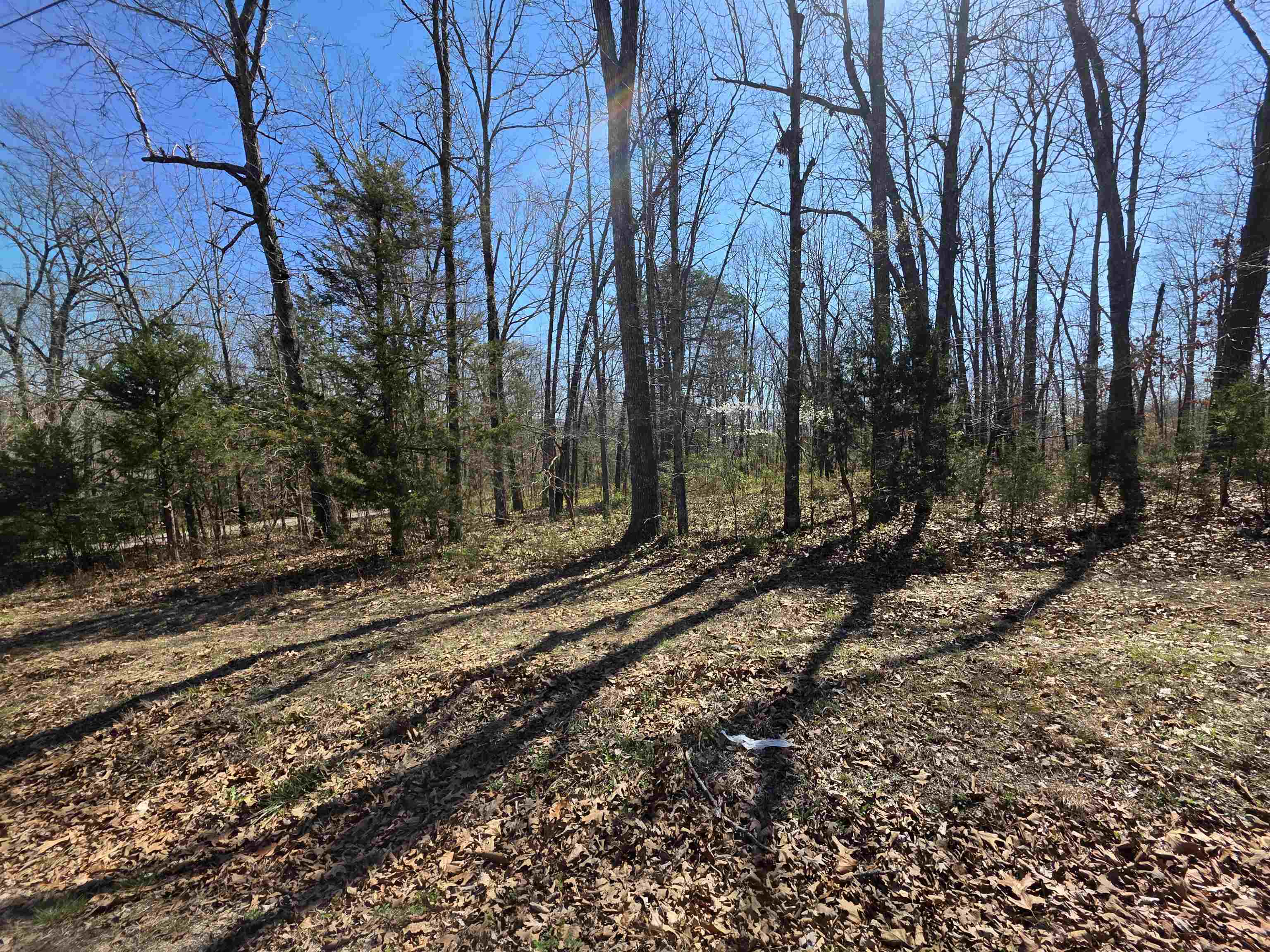 Photo 16 - Vacant Land for sale – L23 B2  West Lake Addn   Ozark Acres, AR