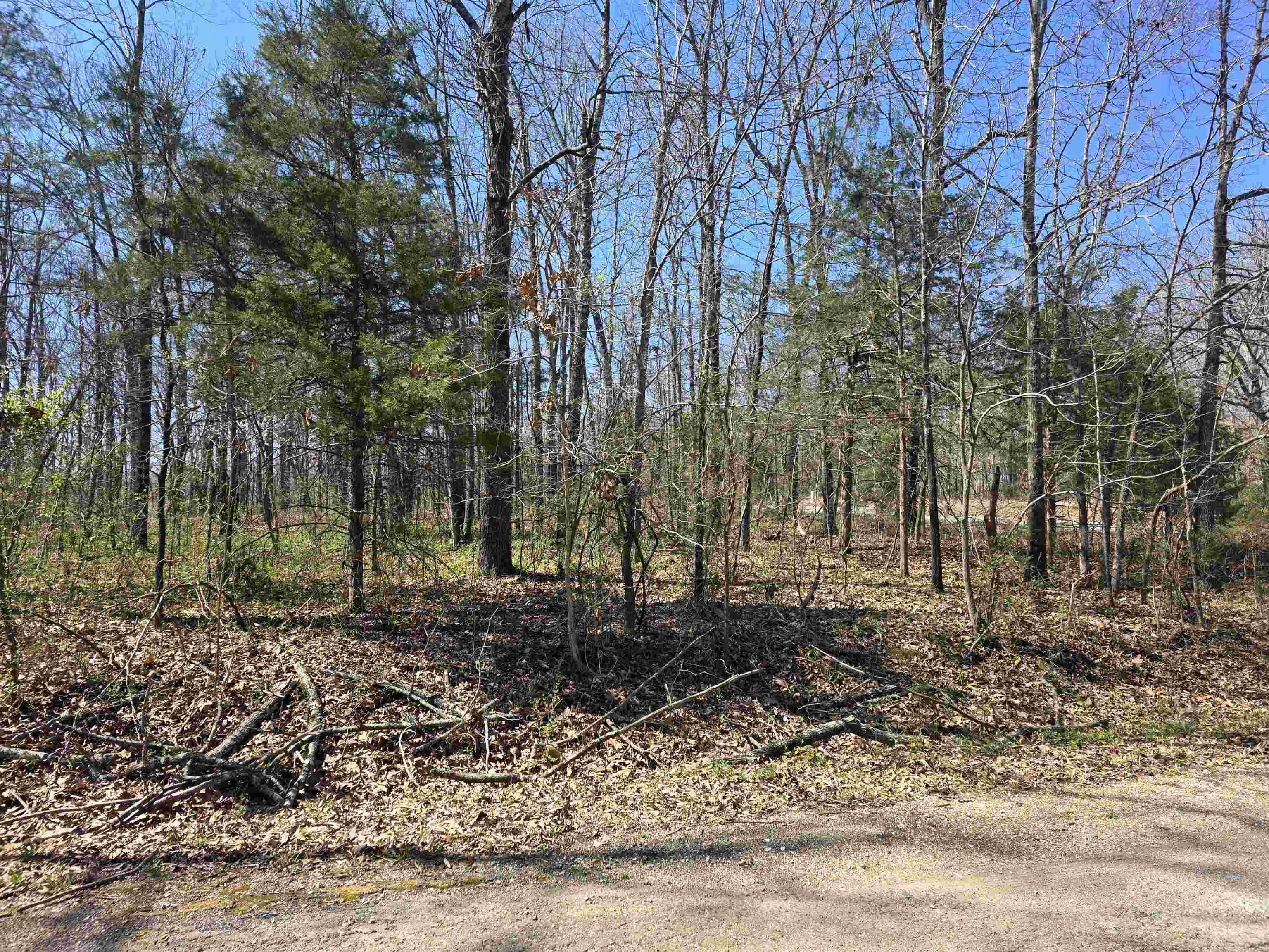 Photo 3 - Vacant Land for sale – L23 B2  West Lake Addn   Ozark Acres, AR