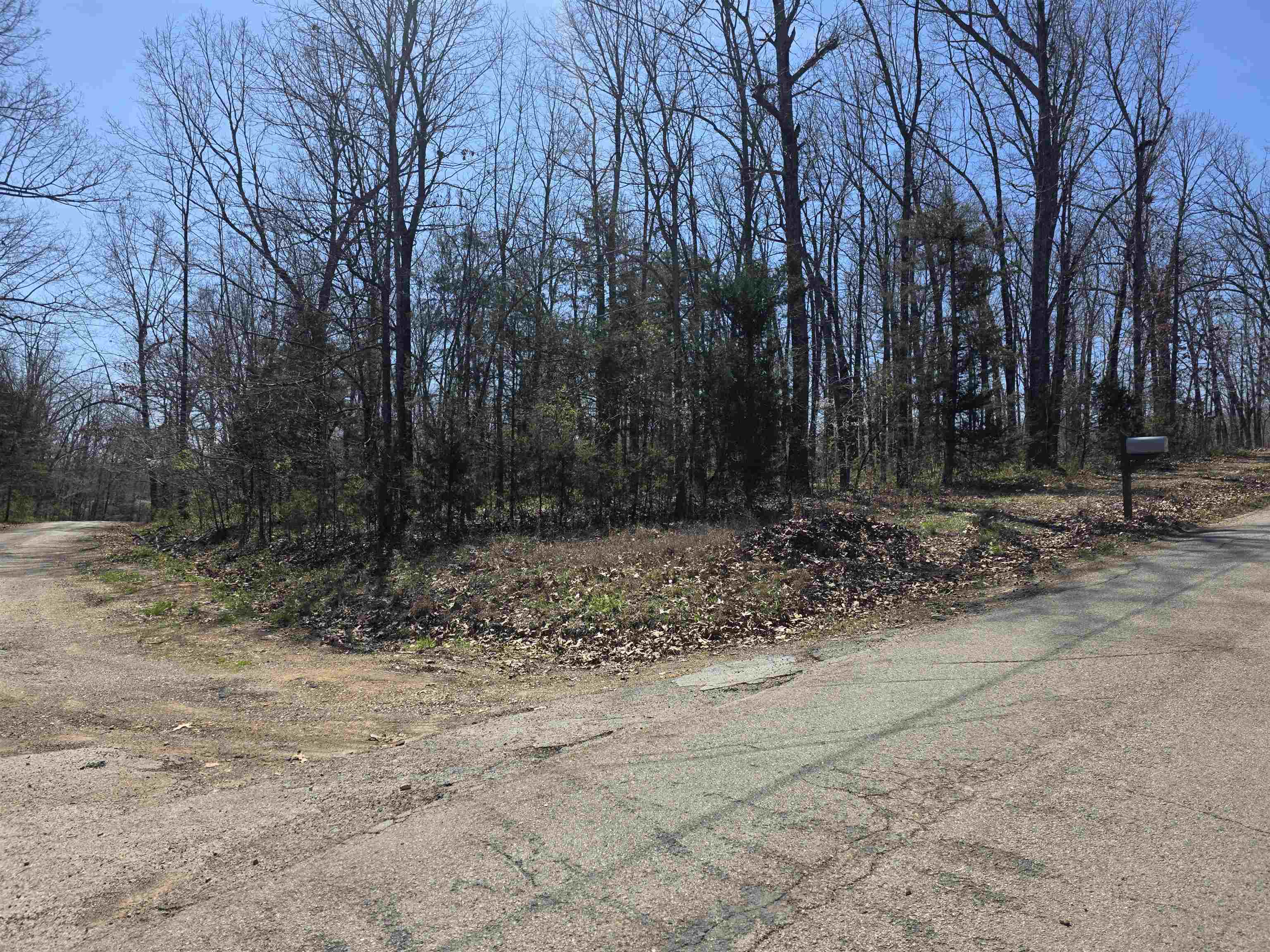 Photo 6 - Vacant Land for sale – L23 B2  West Lake Addn   Ozark Acres, AR