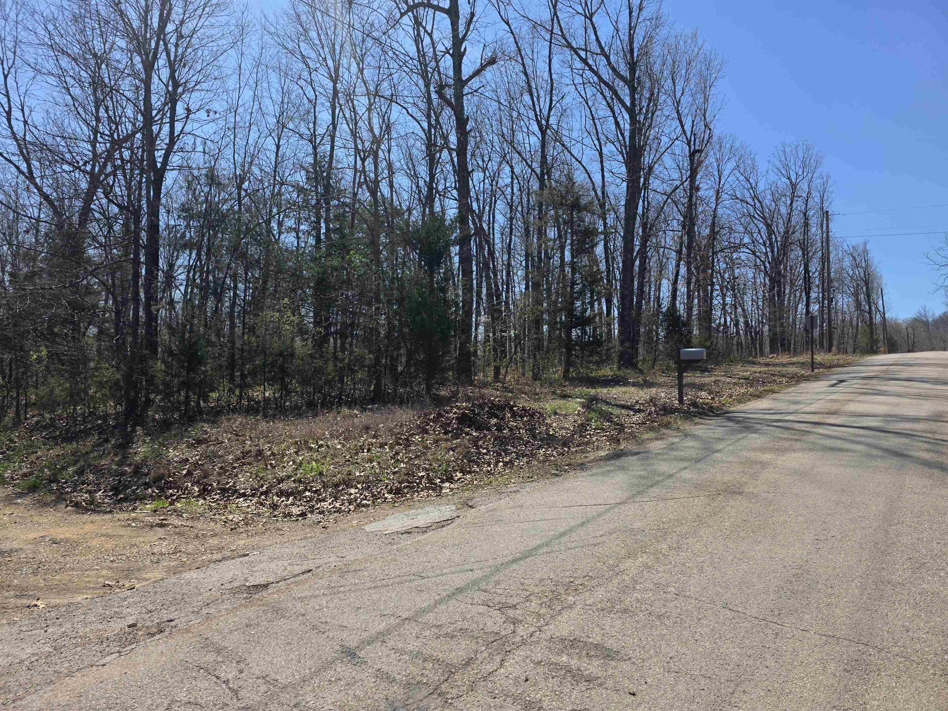 Photo 7 - Vacant Land for sale – L23 B2  West Lake Addn   Ozark Acres, AR