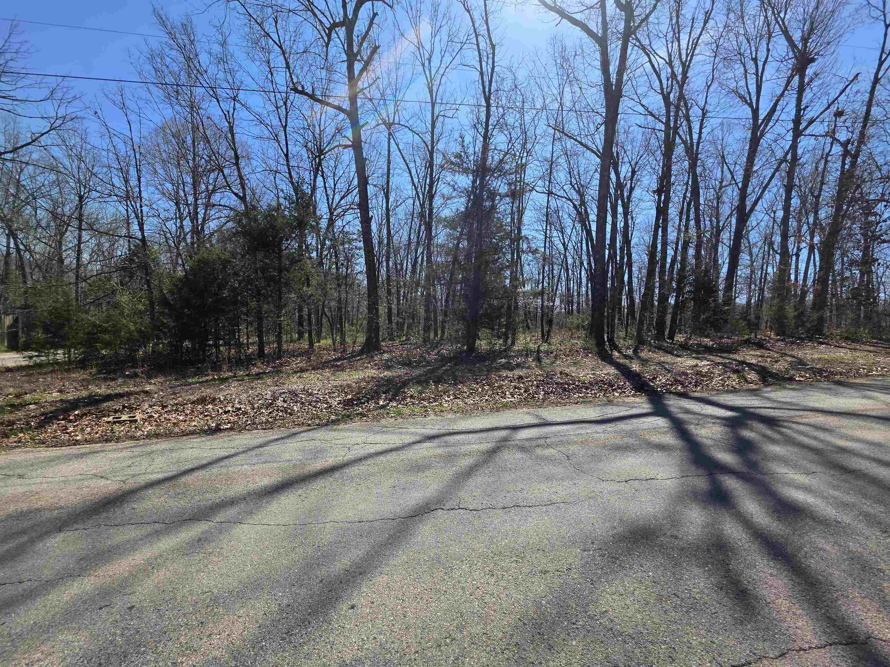 Photo 8 - Vacant Land for sale – L23 B2  West Lake Addn   Ozark Acres, AR