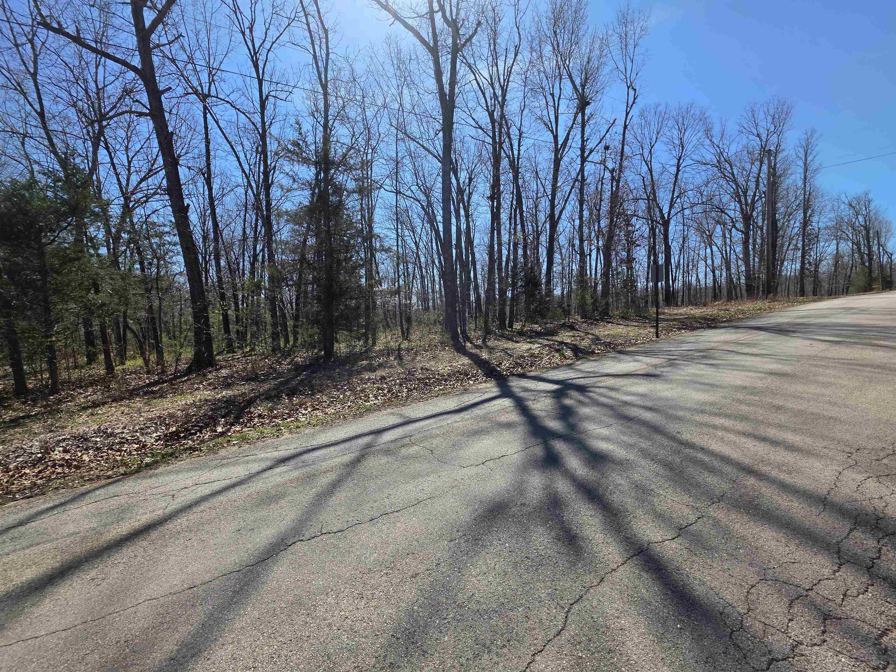 Photo 10 - Vacant Land for sale – L23 B2  West Lake Addn   Ozark Acres, AR