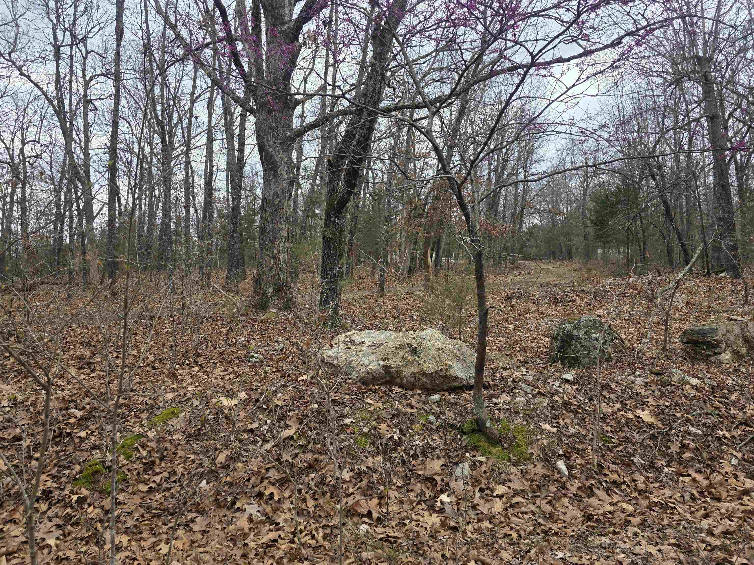 Photo 2 - Vacant Land for sale – L30 B11  Pahokee   Cherokee Village, AR