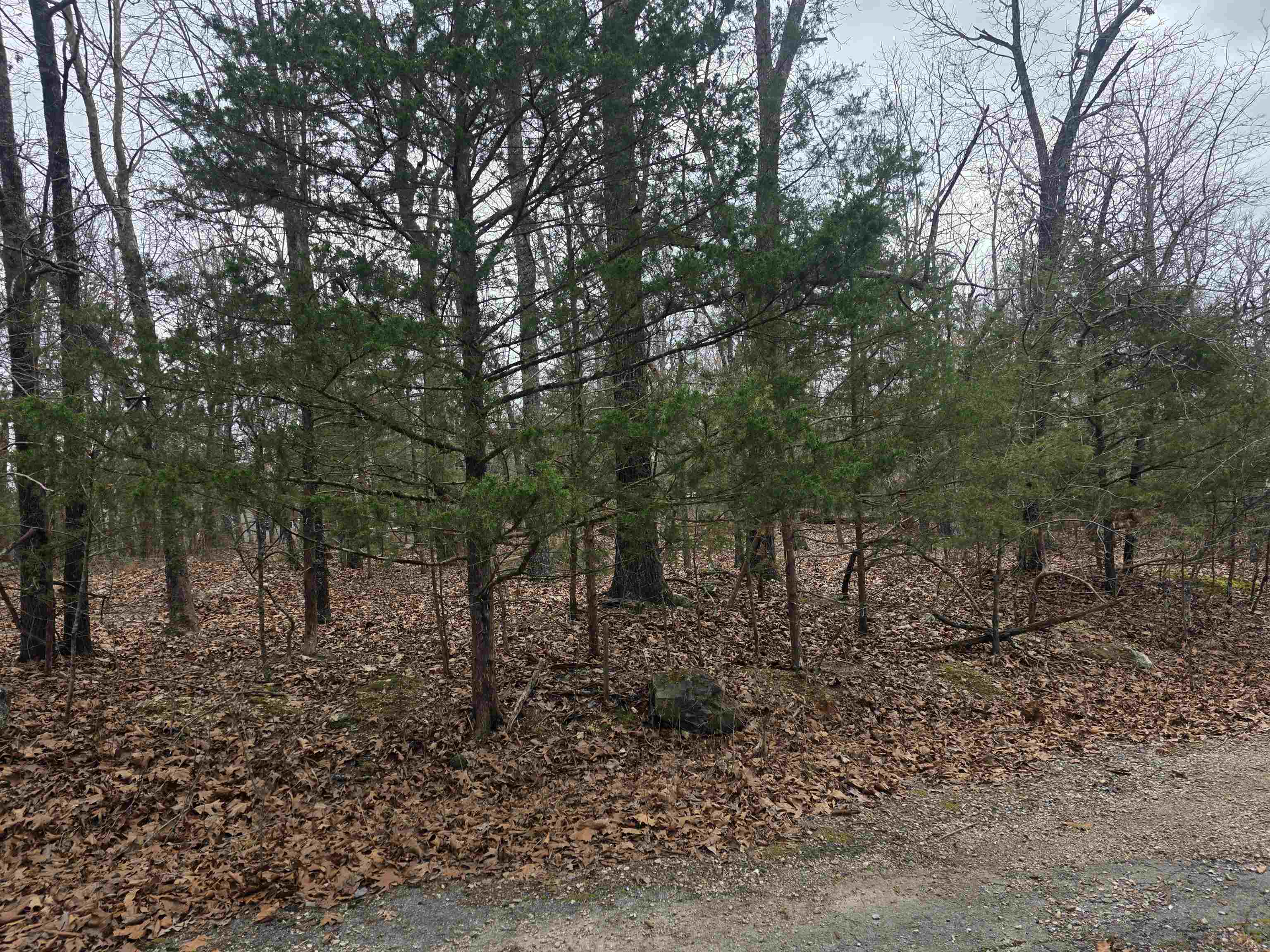 Photo 12 - Vacant Land for sale – L30 B11  Pahokee   Cherokee Village, AR