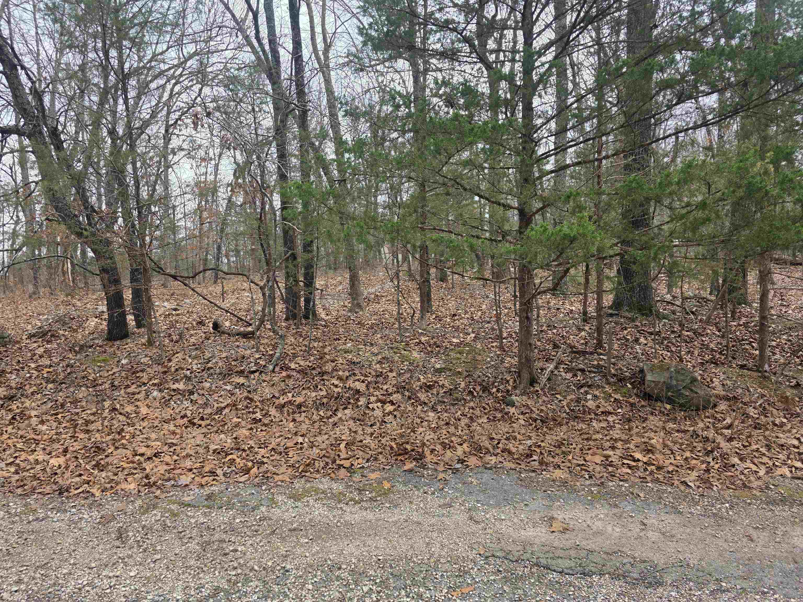 Photo 13 - Vacant Land for sale – L30 B11  Pahokee   Cherokee Village, AR