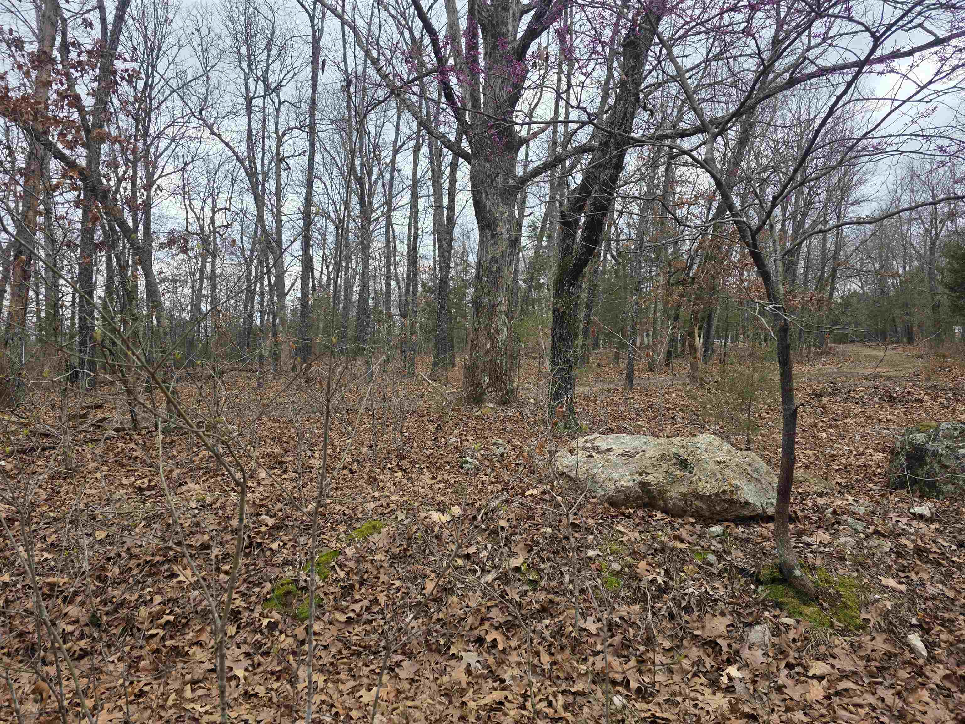 Photo 3 - Vacant Land for sale – L30 B11  Pahokee   Cherokee Village, AR