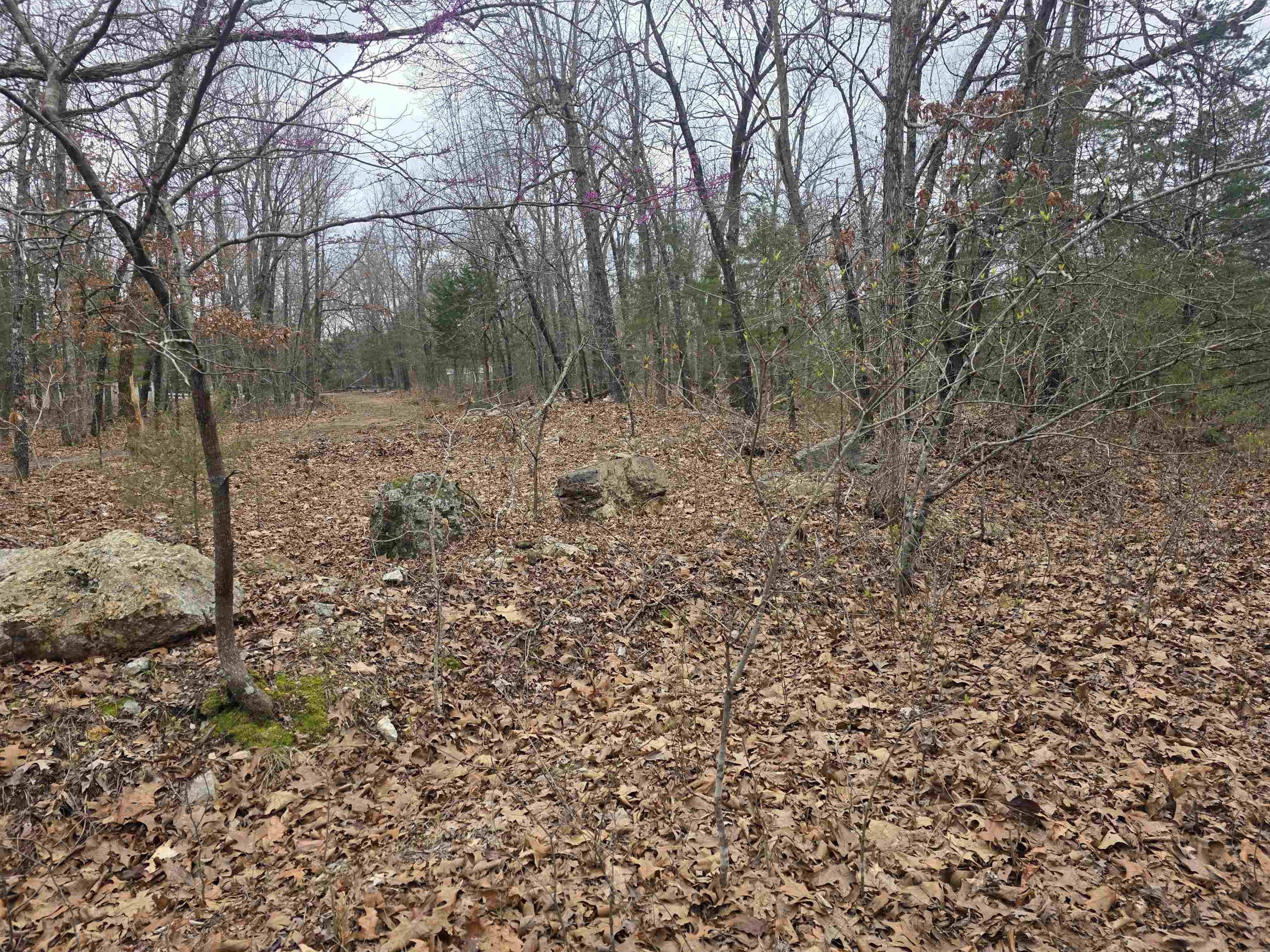 Photo 4 - Vacant Land for sale – L30 B11  Pahokee   Cherokee Village, AR