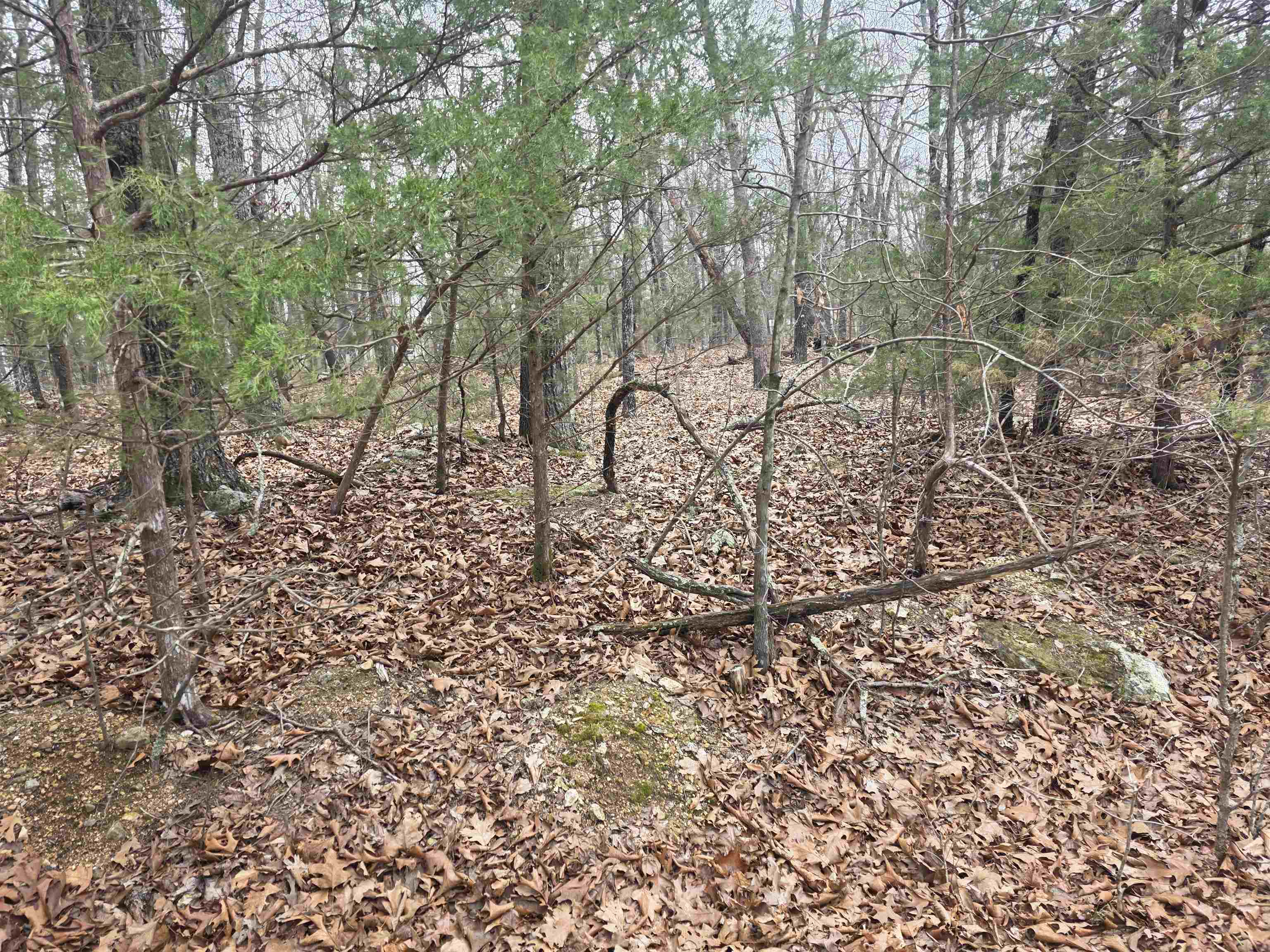 Photo 7 - Vacant Land for sale – L30 B11  Pahokee   Cherokee Village, AR