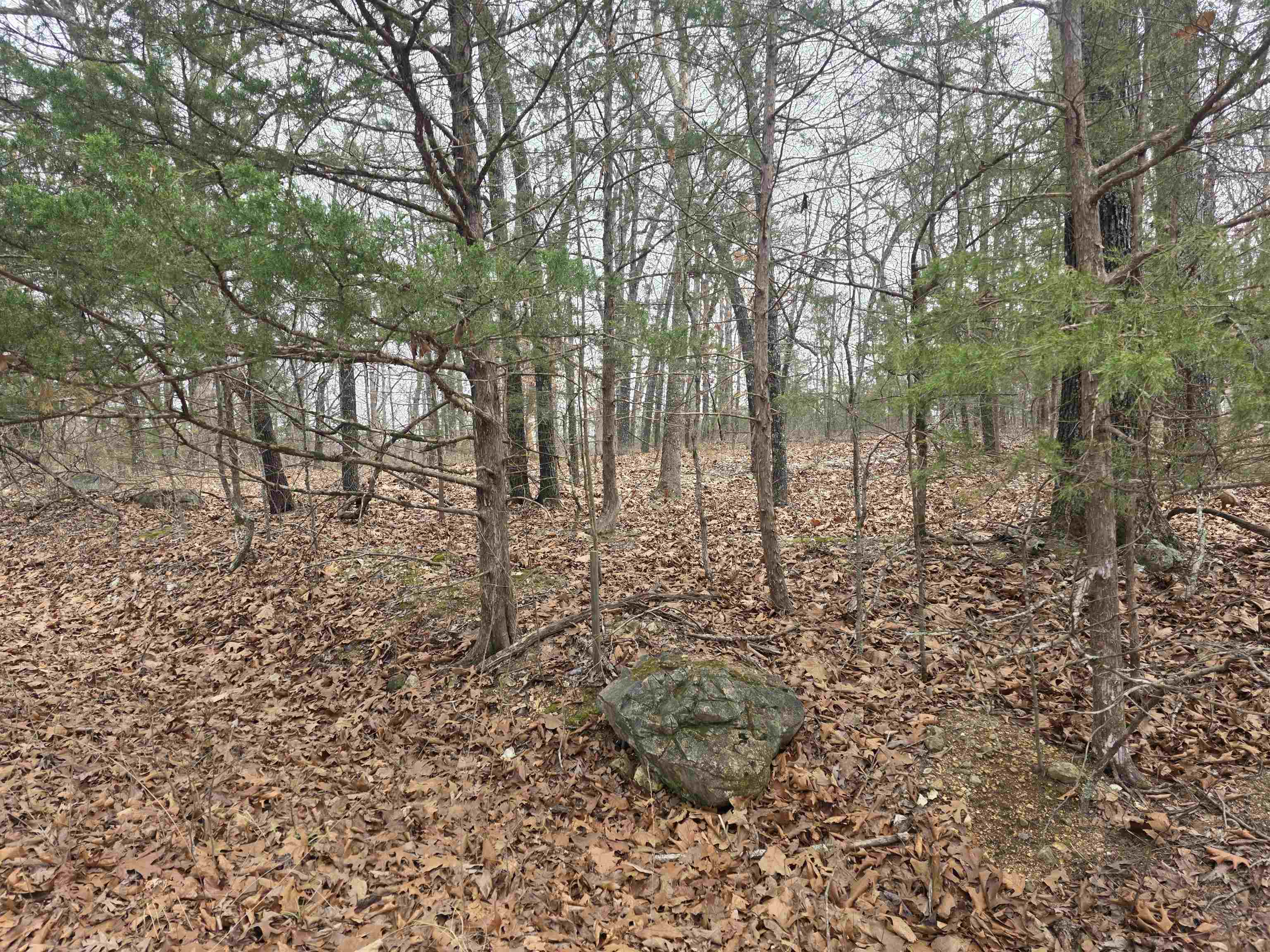 Photo 8 - Vacant Land for sale – L30 B11  Pahokee   Cherokee Village, AR