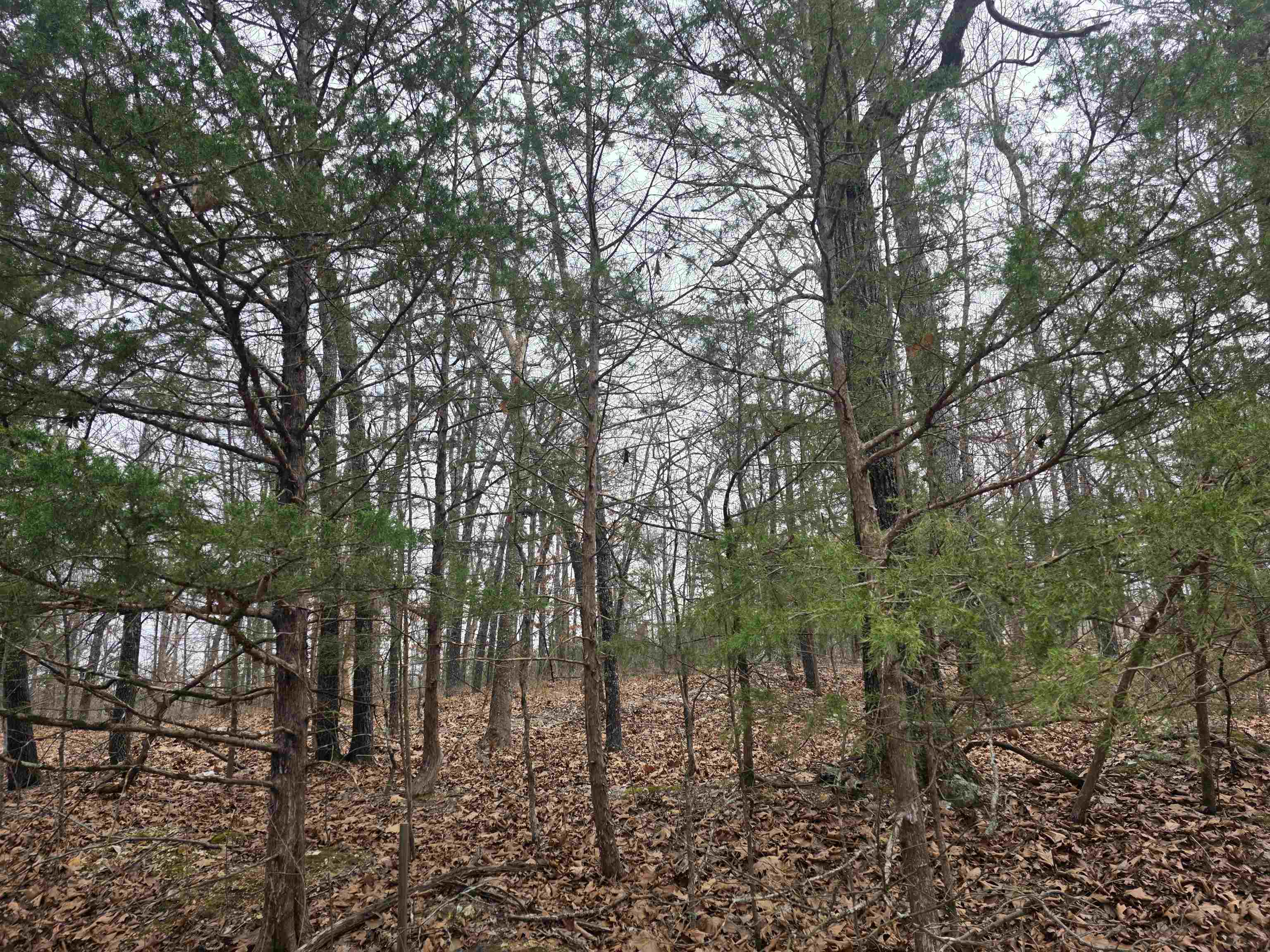 Photo 9 - Vacant Land for sale – L30 B11  Pahokee   Cherokee Village, AR