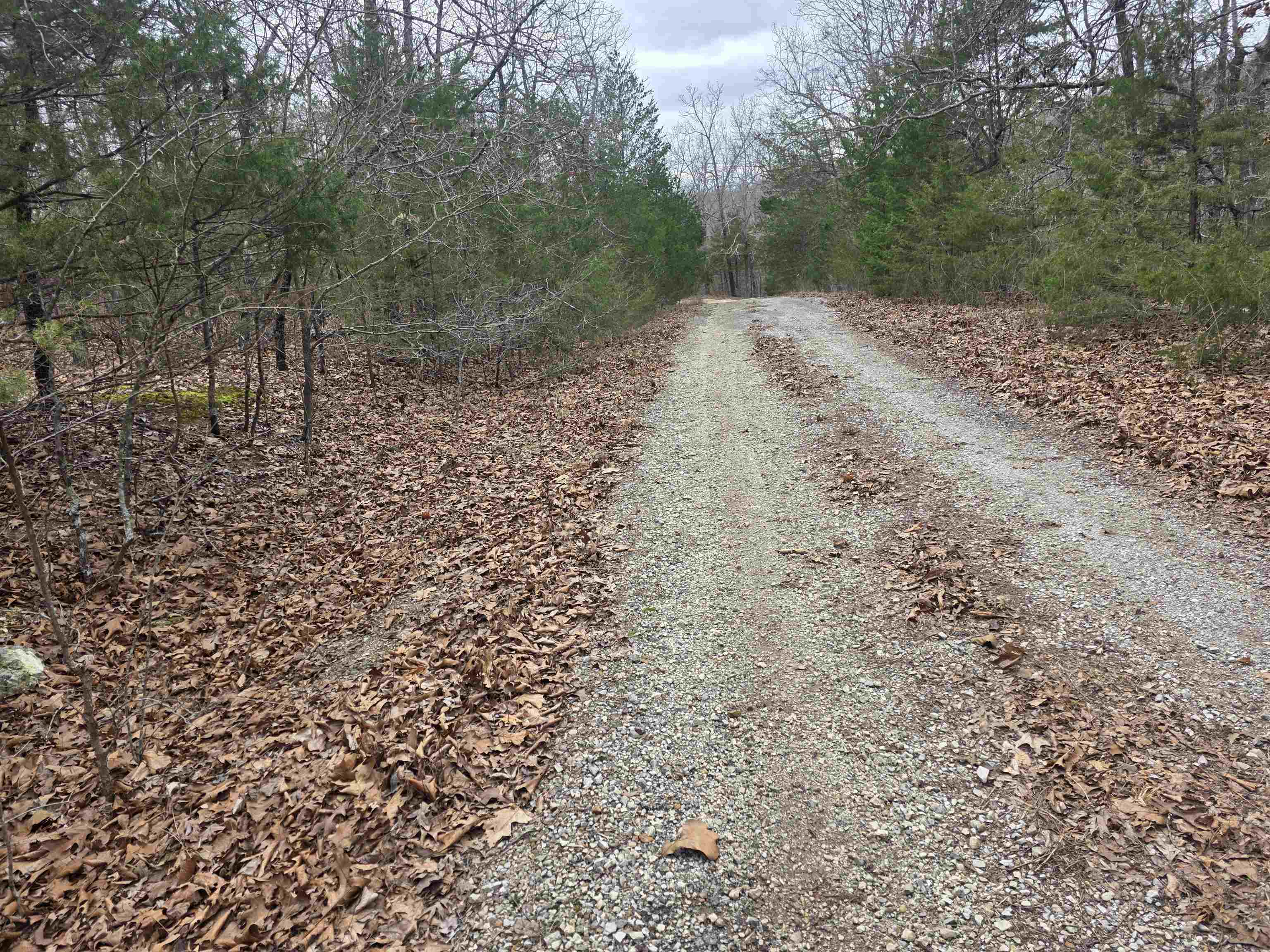 Photo 10 - Vacant Land for sale – L30 B11  Pahokee   Cherokee Village, AR