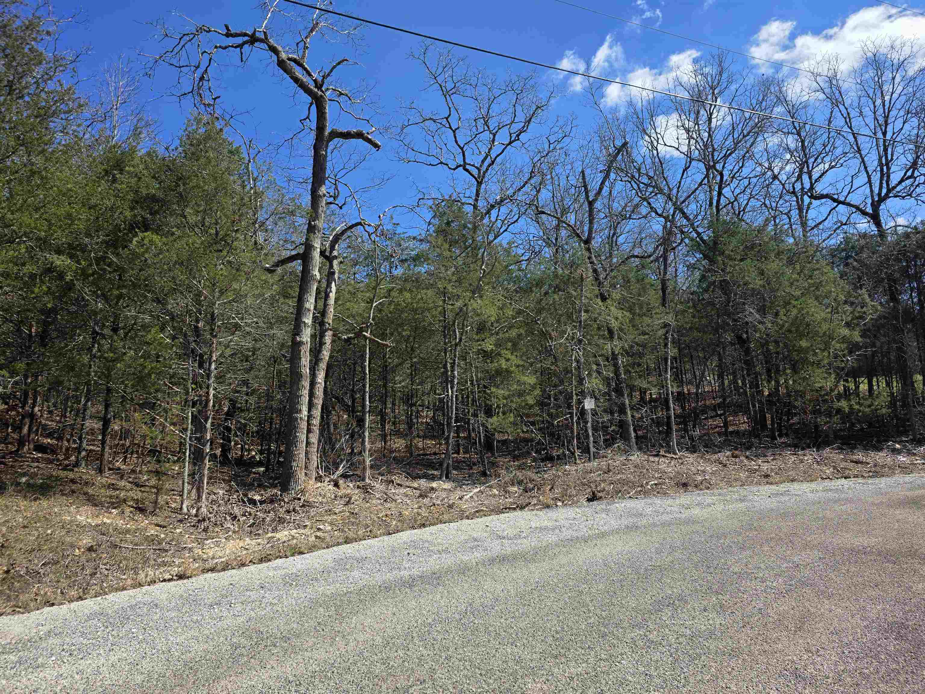 Vacant Land for sale – L1 B11  Pahokee   Cherokee Village, AR