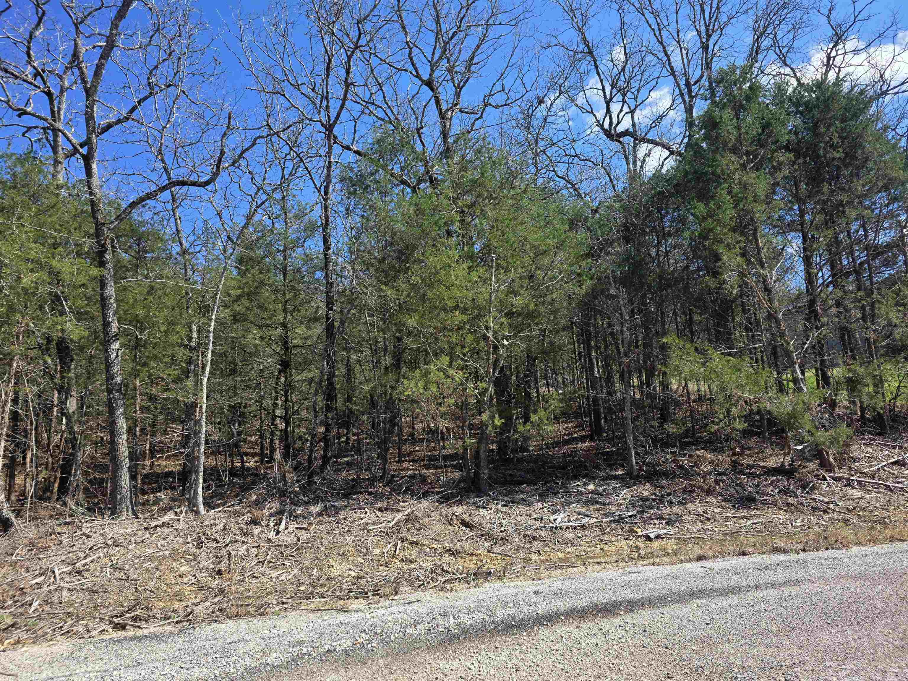 Photo 2 - Vacant Land for sale – L1 B11  Pahokee   Cherokee Village, AR