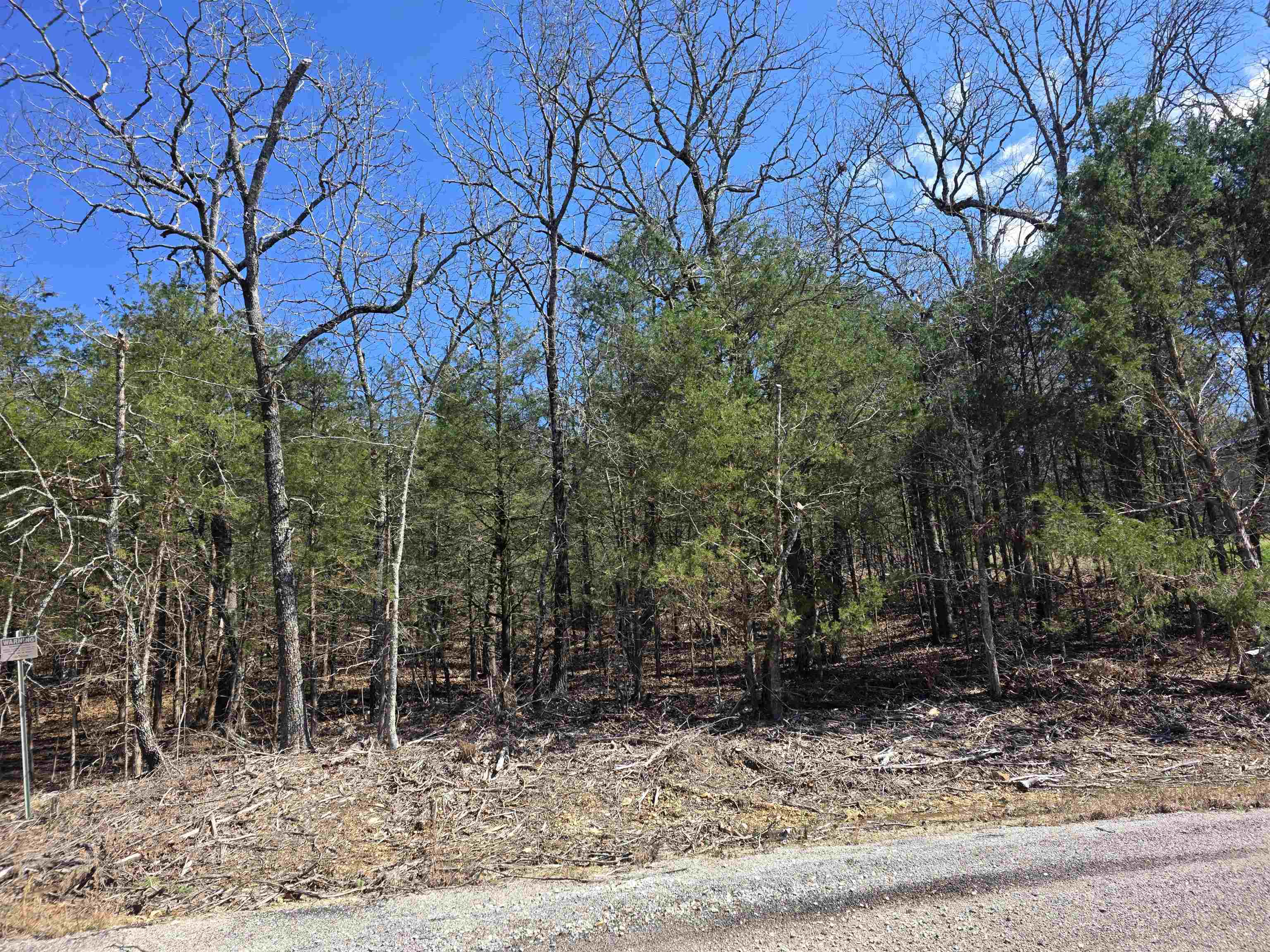 Photo 3 - Vacant Land for sale – L1 B11  Pahokee   Cherokee Village, AR