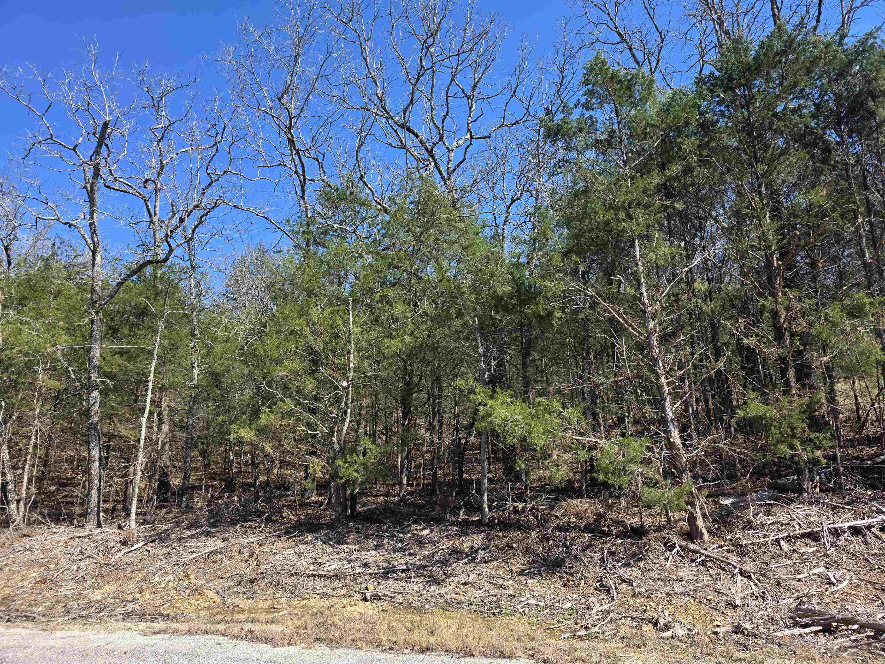 Photo 4 - Vacant Land for sale – L1 B11  Pahokee   Cherokee Village, AR