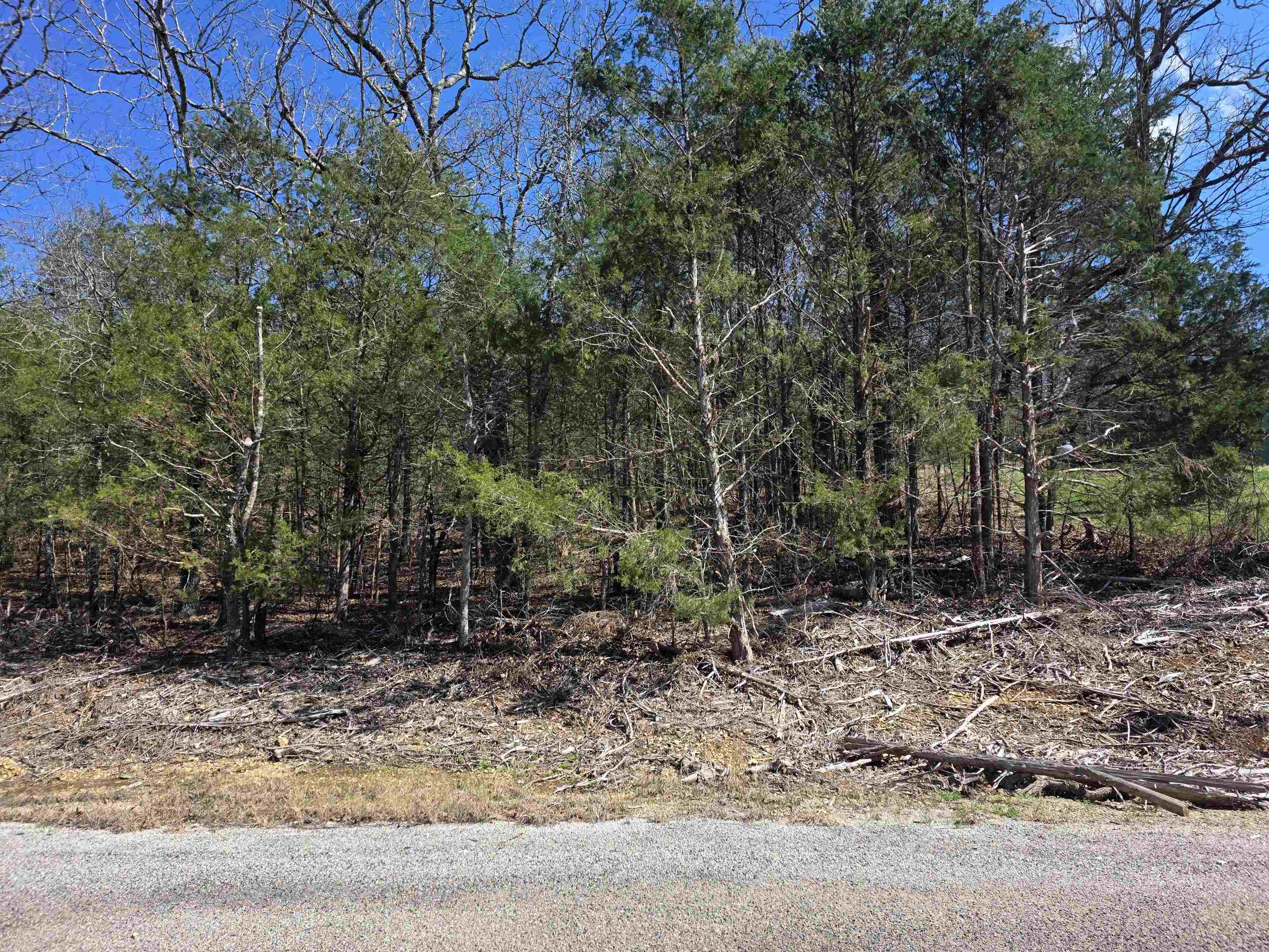 Photo 5 - Vacant Land for sale – L1 B11  Pahokee   Cherokee Village, AR