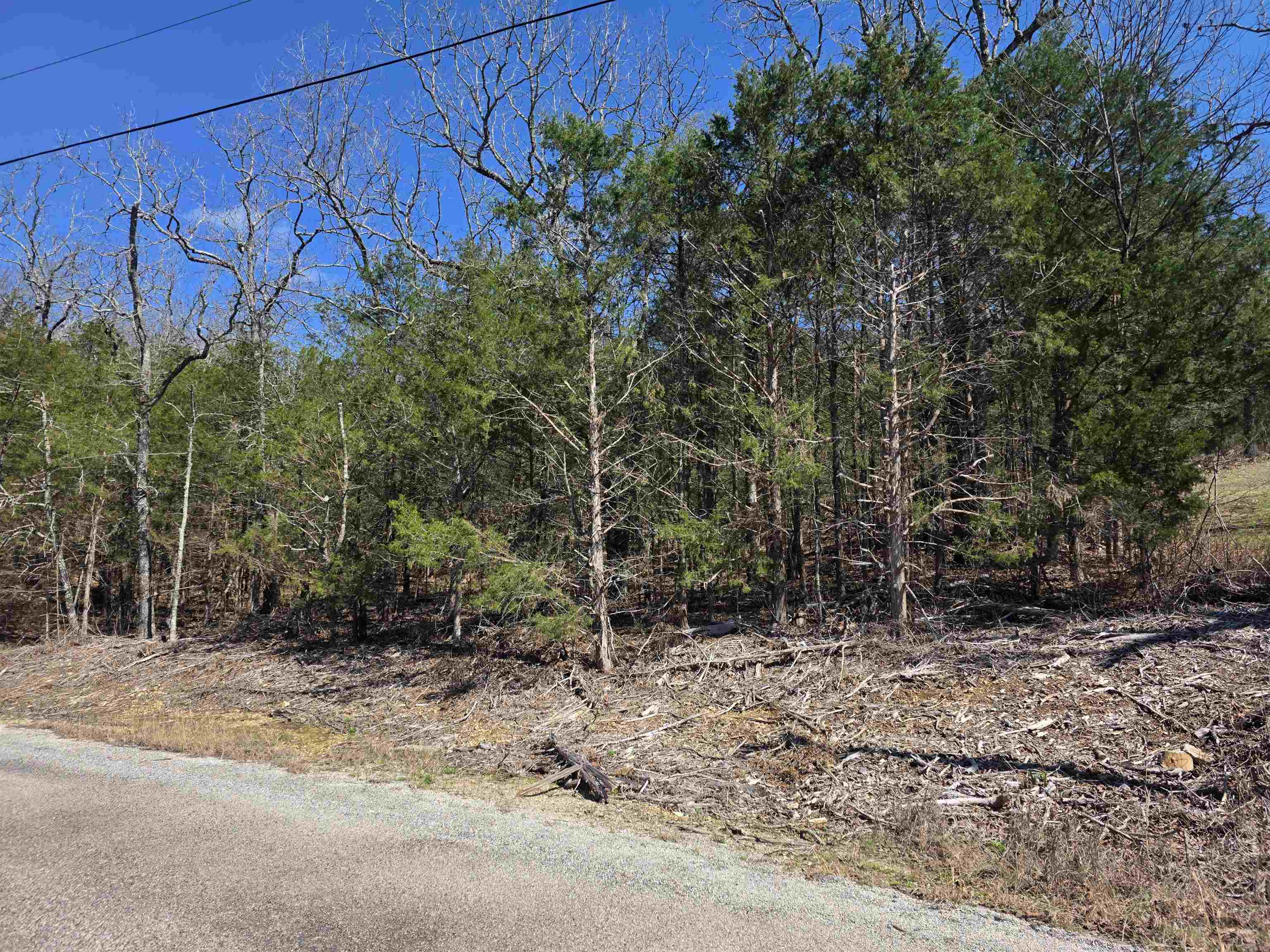 Photo 6 - Vacant Land for sale – L1 B11  Pahokee   Cherokee Village, AR