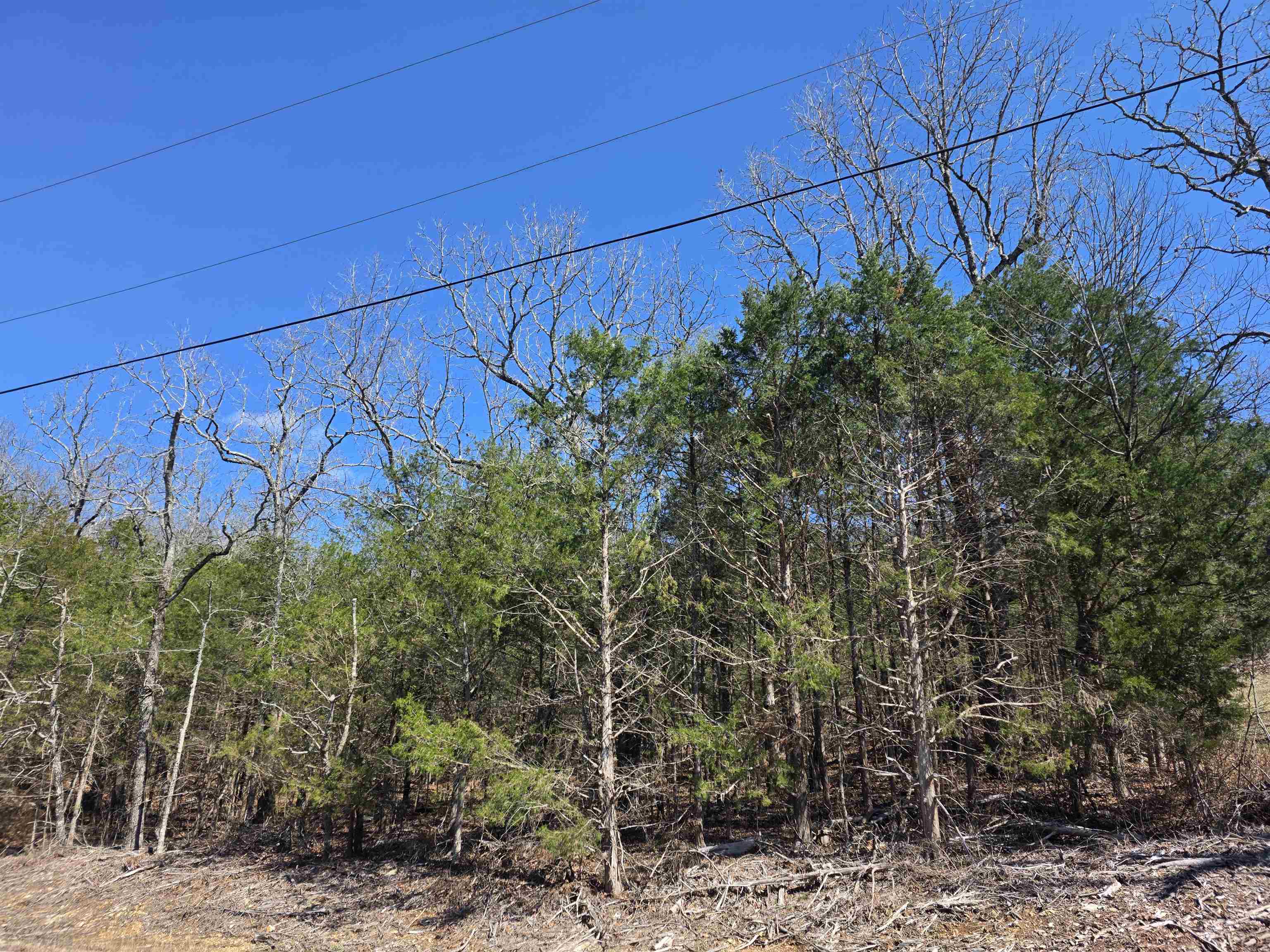 Photo 7 - Vacant Land for sale – L1 B11  Pahokee   Cherokee Village, AR