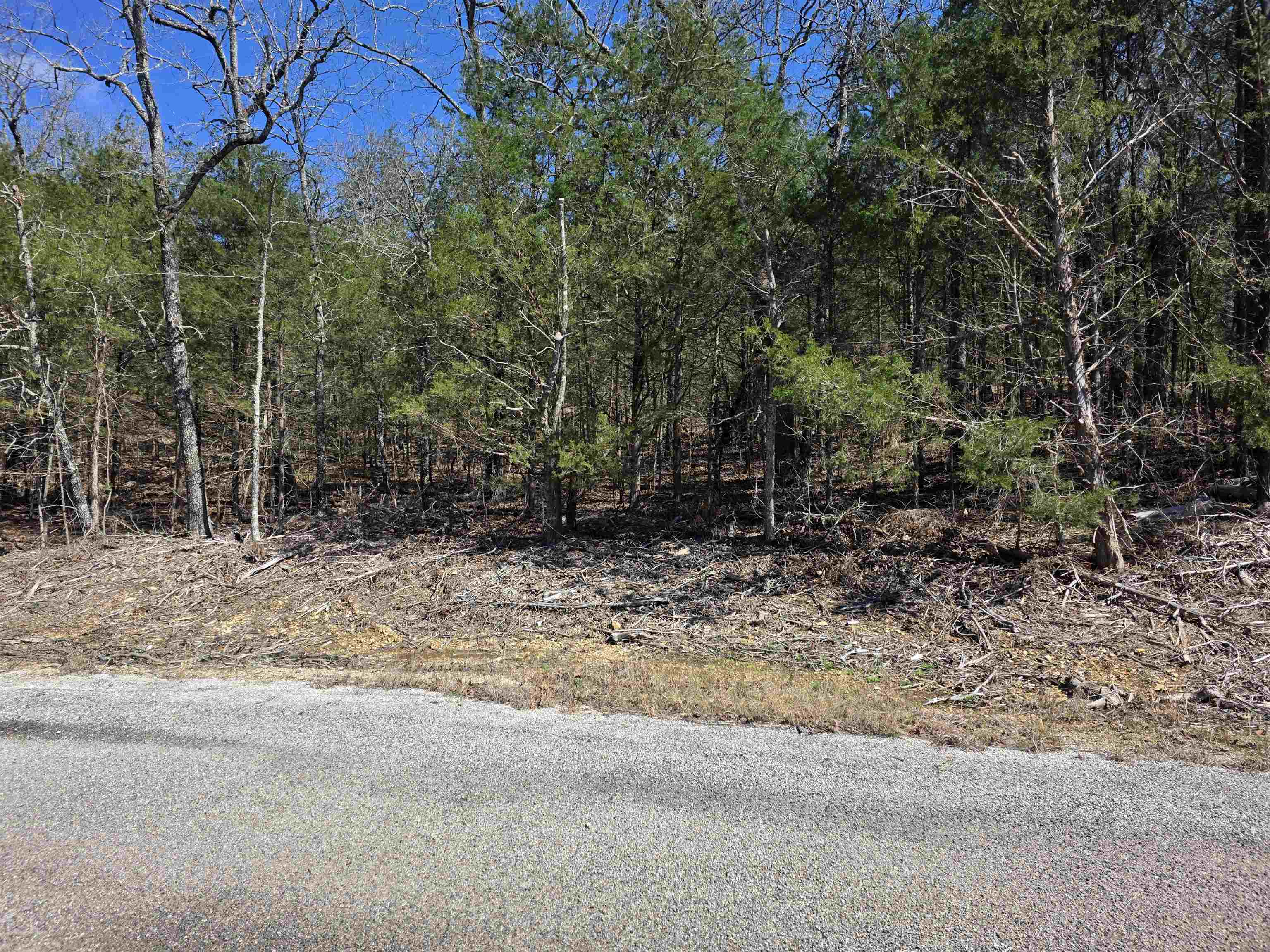 Photo 8 - Vacant Land for sale – L1 B11  Pahokee   Cherokee Village, AR