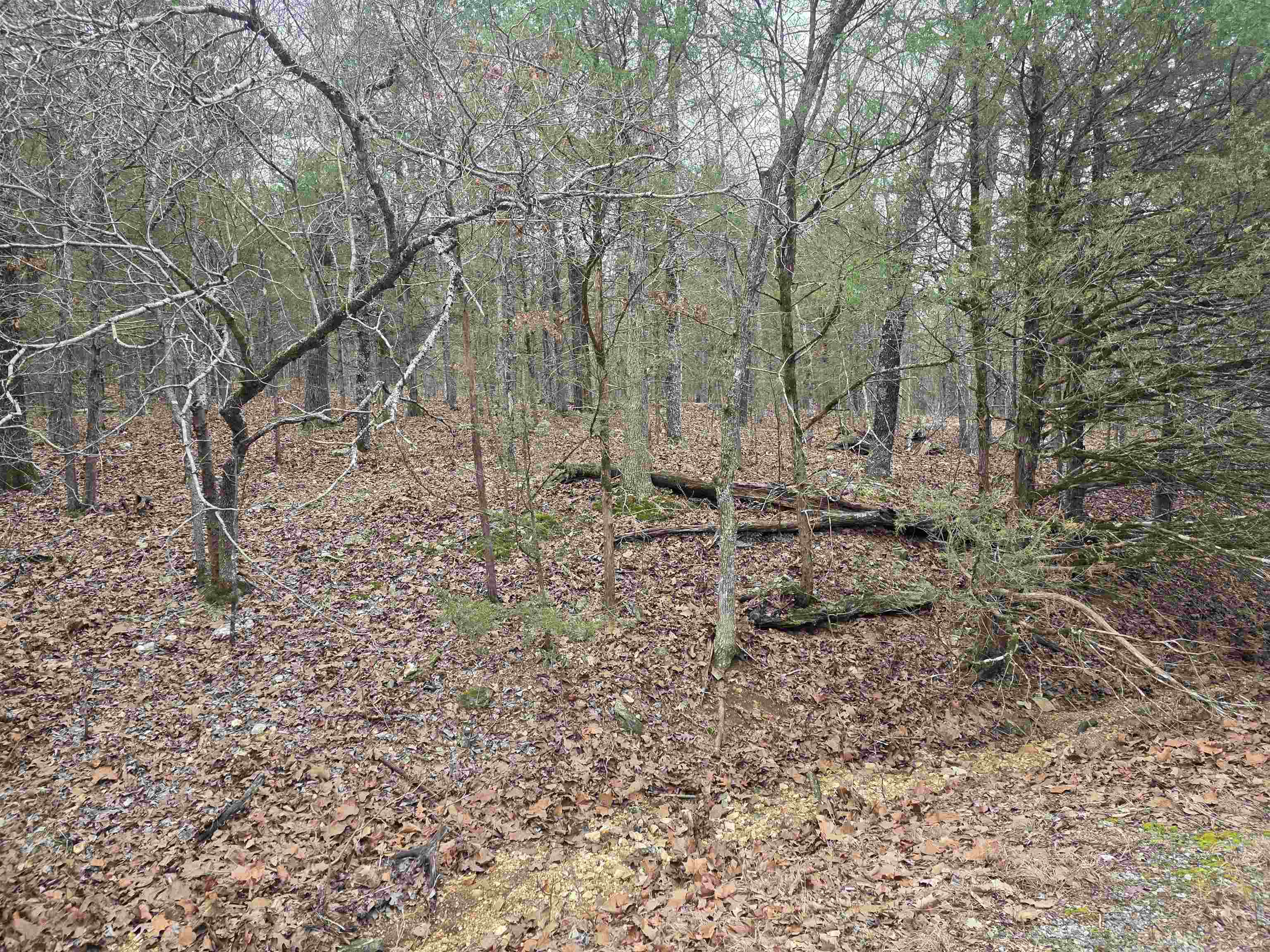 Vacant Land for sale – L8 B10  Pahokee   Cherokee Village, AR