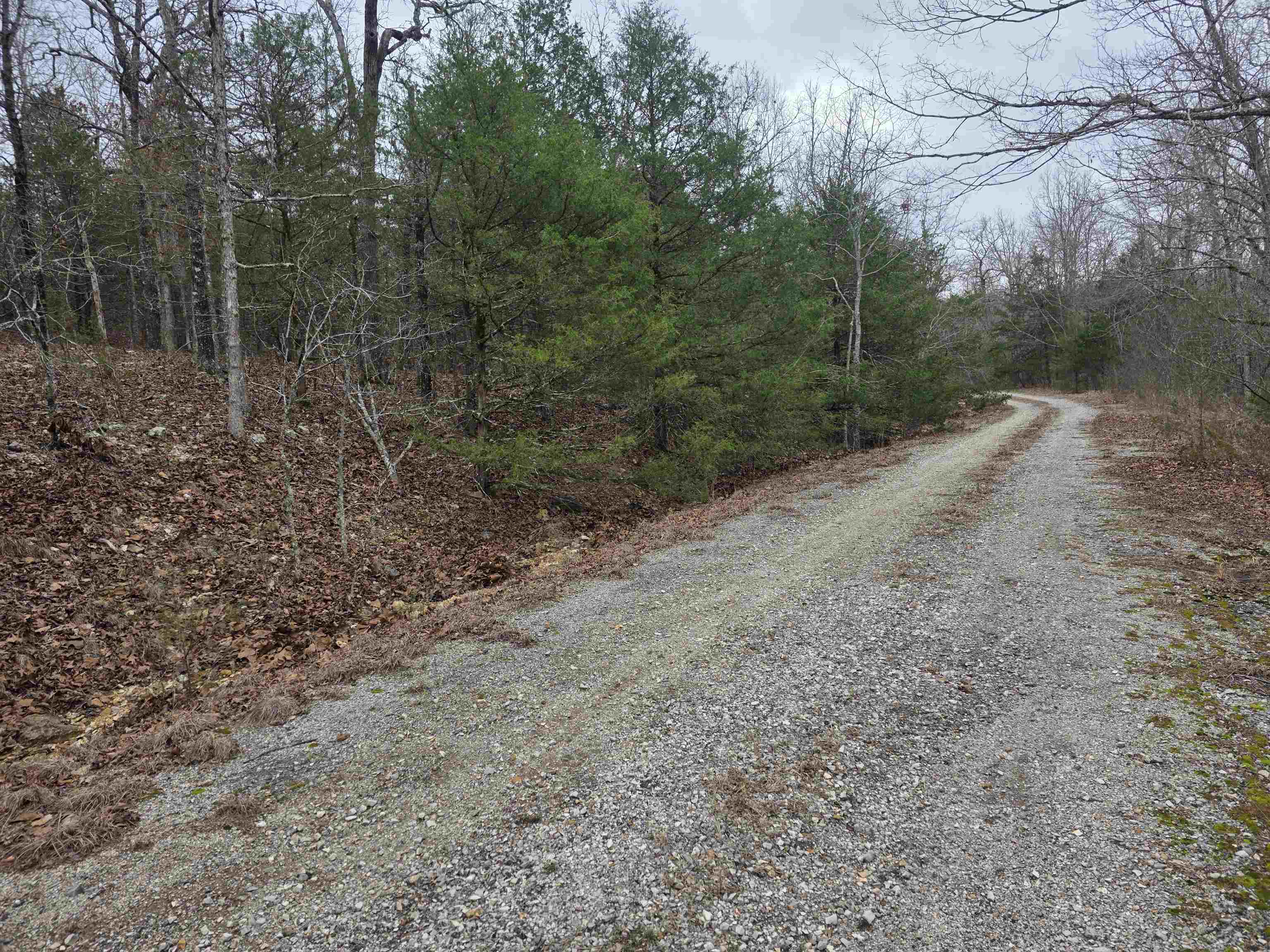 Photo 3 - Vacant Land for sale – L8 B10  Pahokee   Cherokee Village, AR