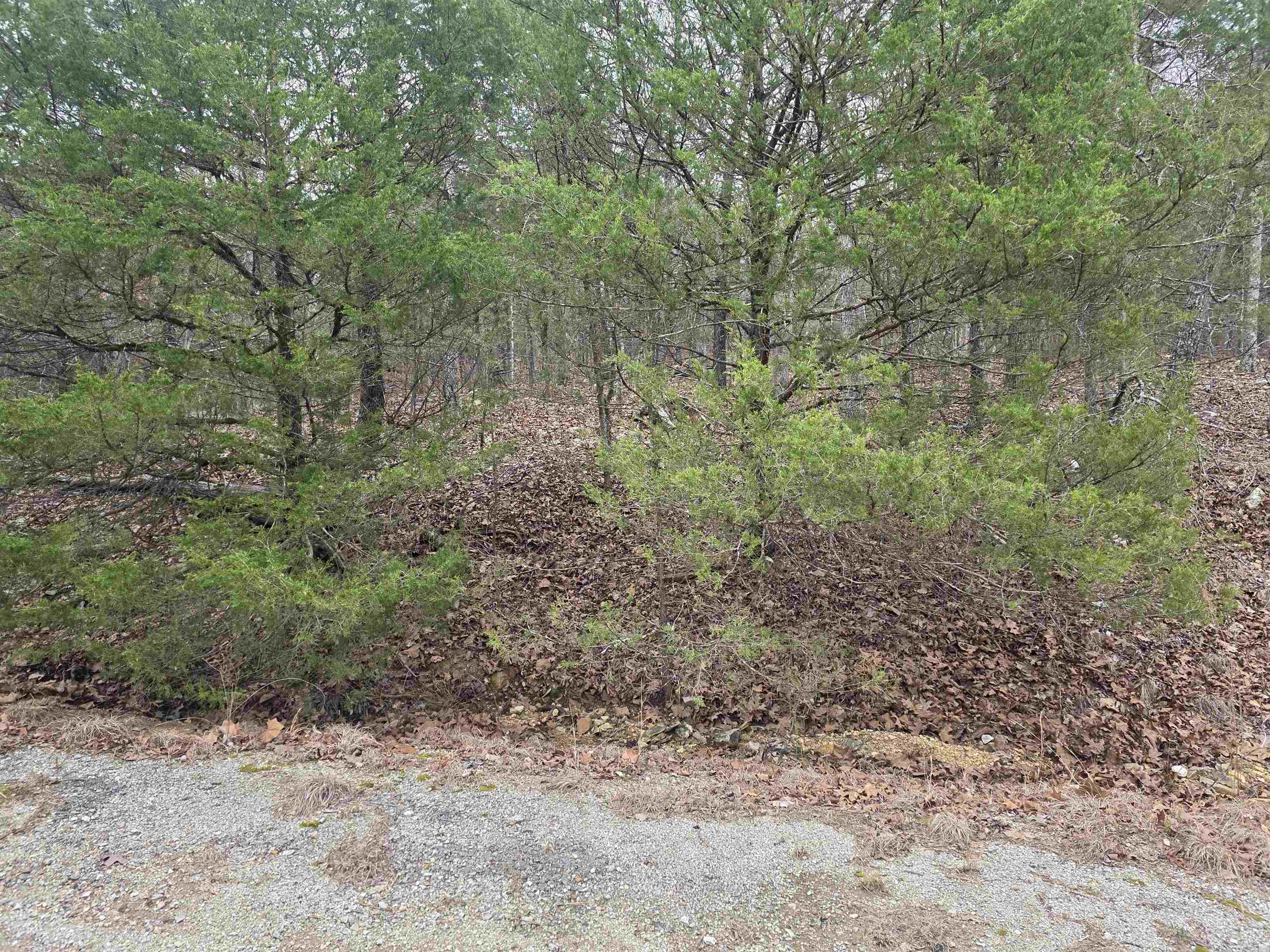 Photo 4 - Vacant Land for sale – L8 B10  Pahokee   Cherokee Village, AR