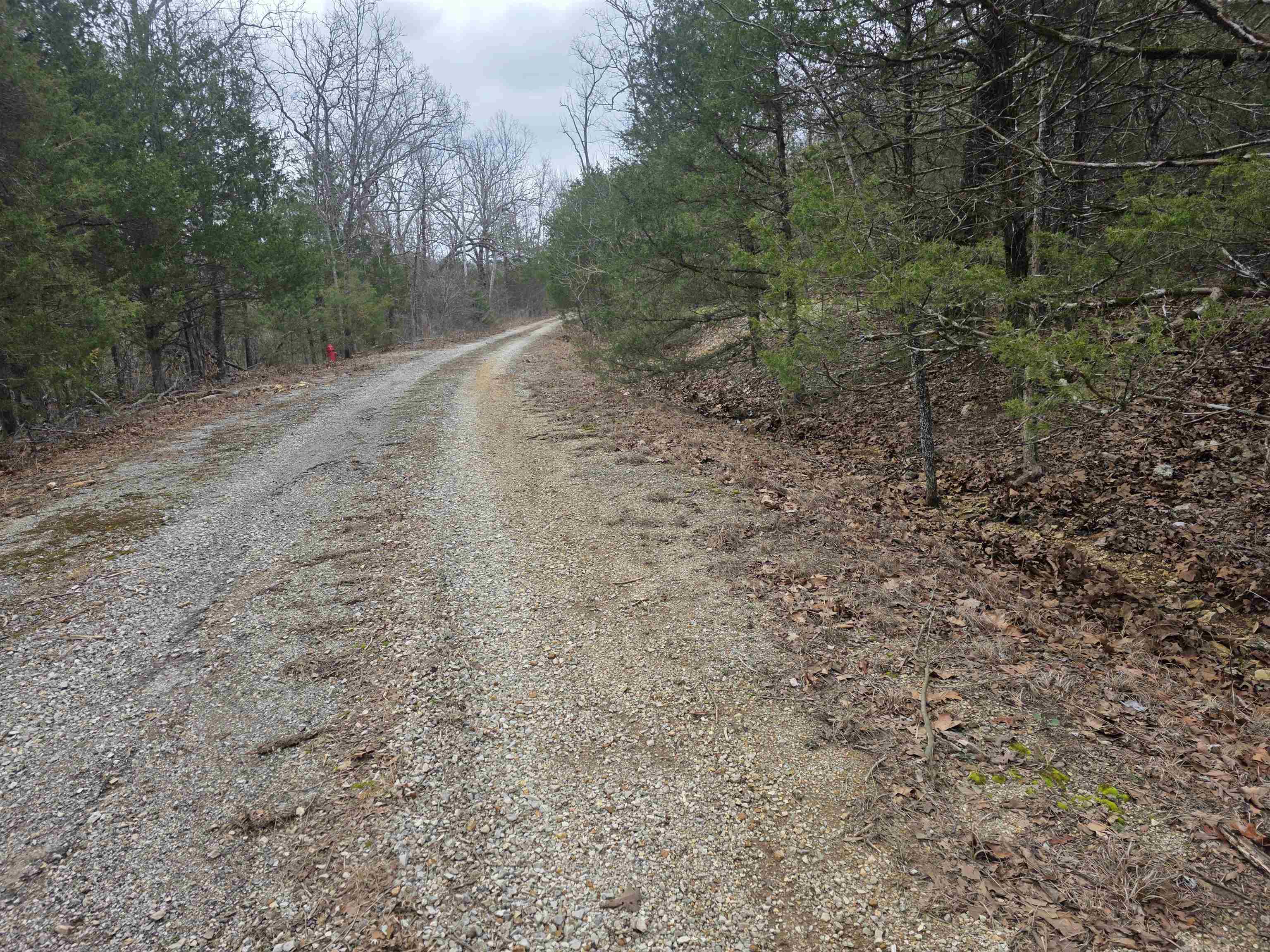 Photo 6 - Vacant Land for sale – L8 B10  Pahokee   Cherokee Village, AR