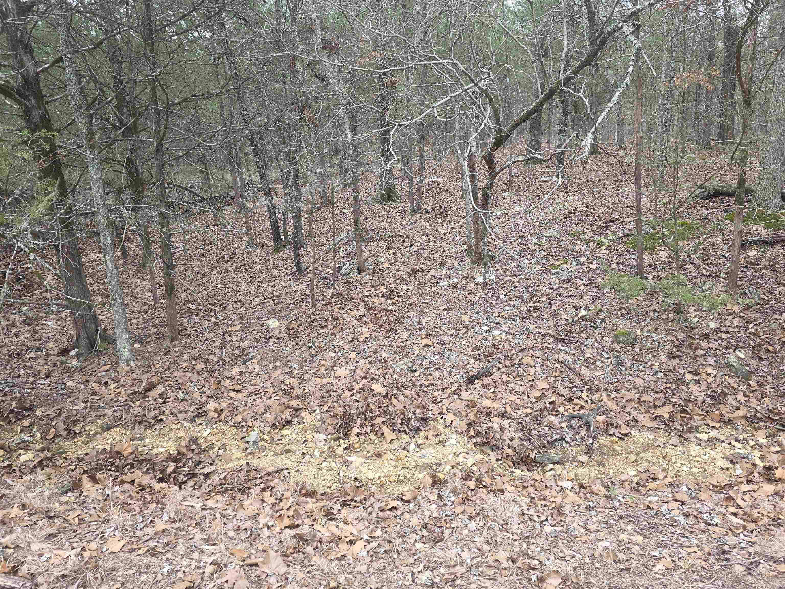 Photo 7 - Vacant Land for sale – L8 B10  Pahokee   Cherokee Village, AR