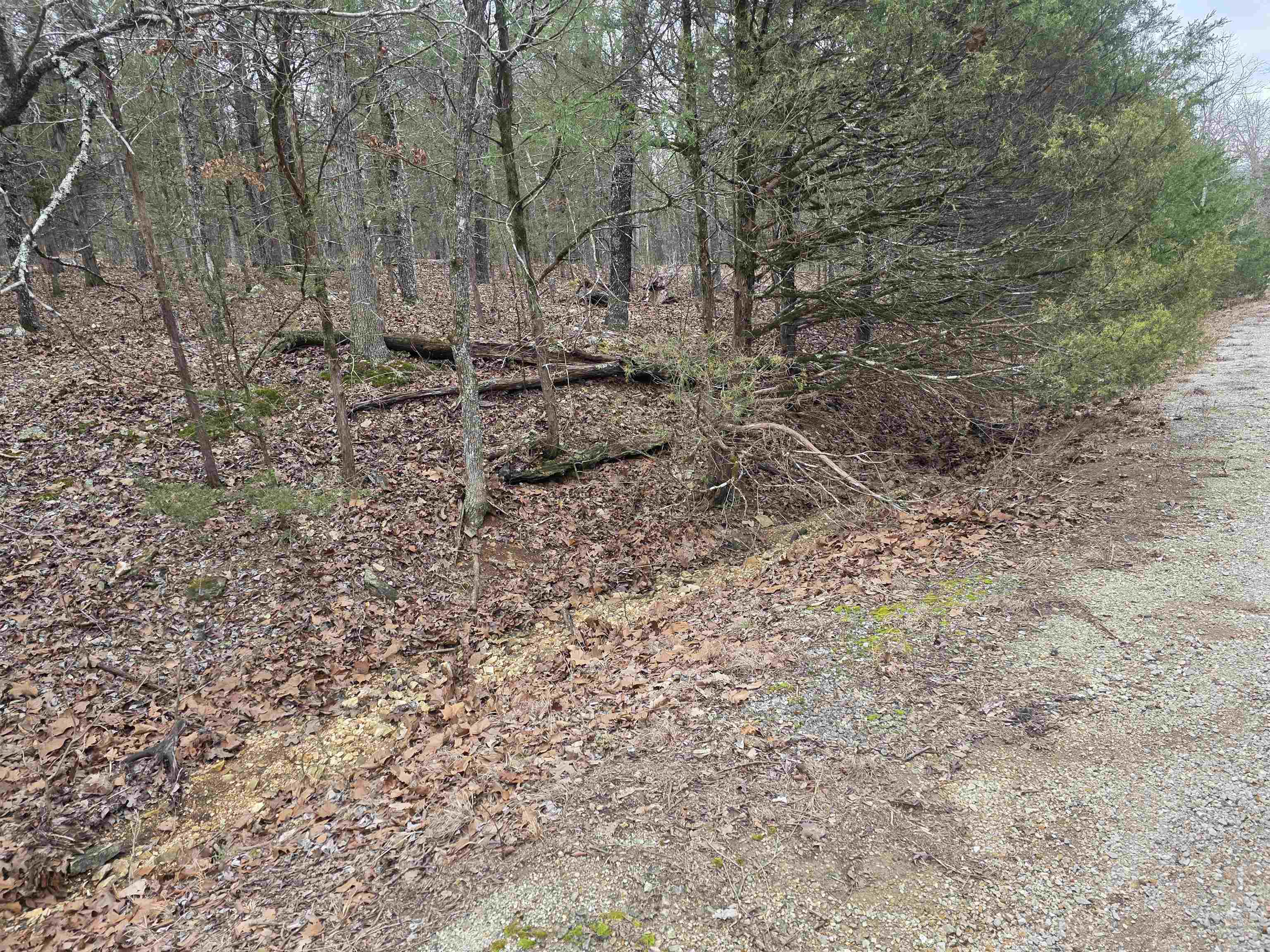 Photo 8 - Vacant Land for sale – L8 B10  Pahokee   Cherokee Village, AR