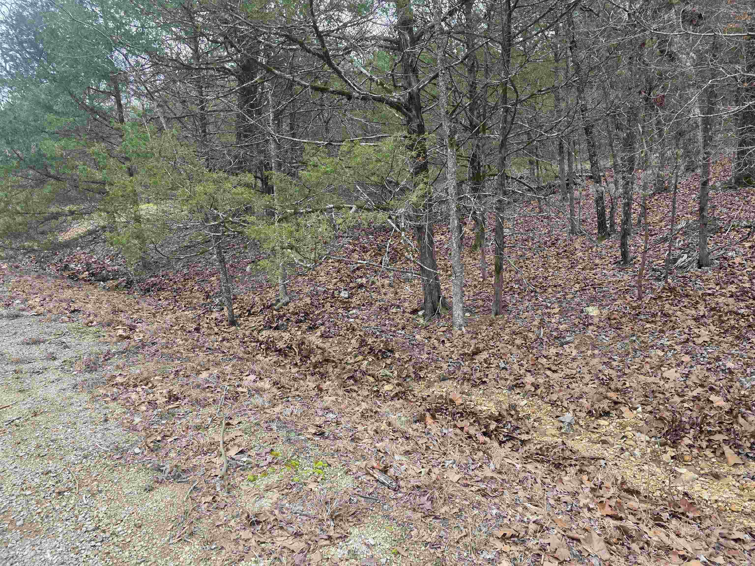 Photo 9 - Vacant Land for sale – L8 B10  Pahokee   Cherokee Village, AR